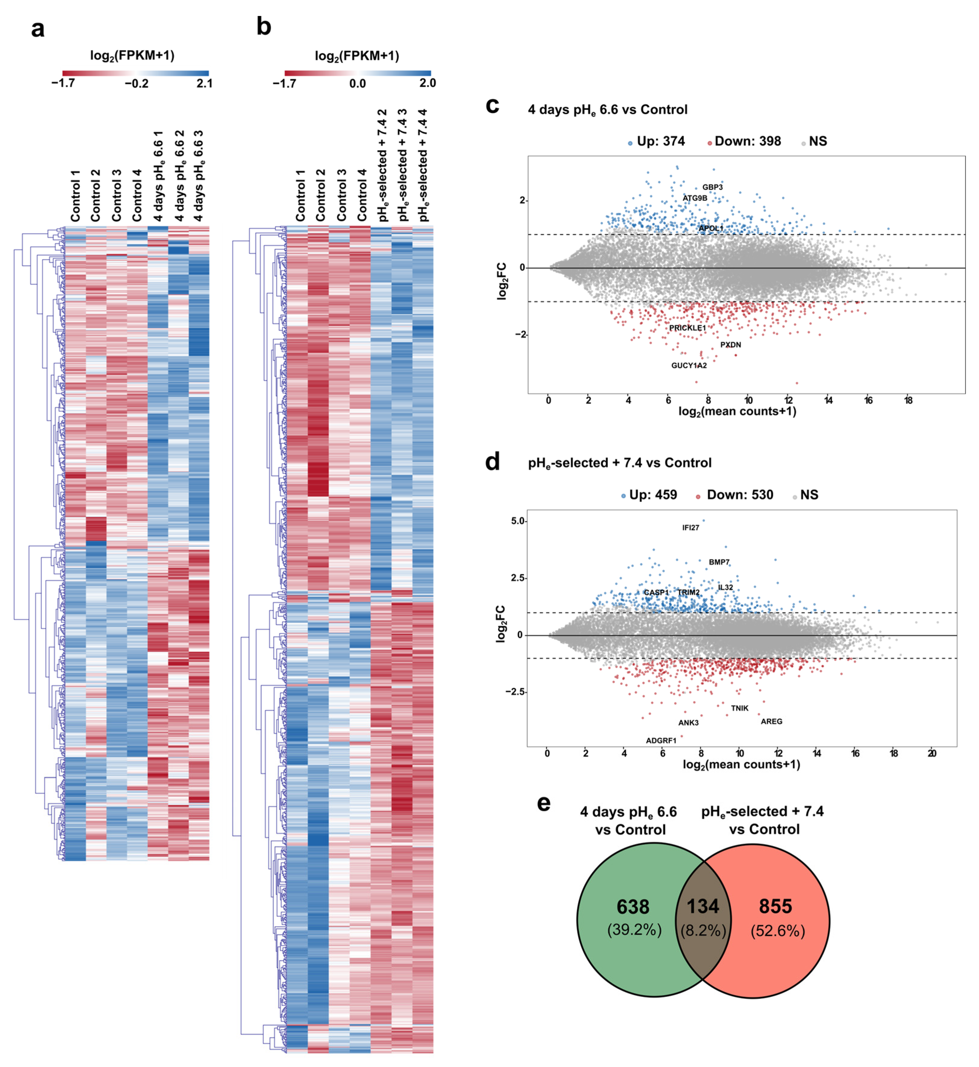 Cancers 15 02572 g006