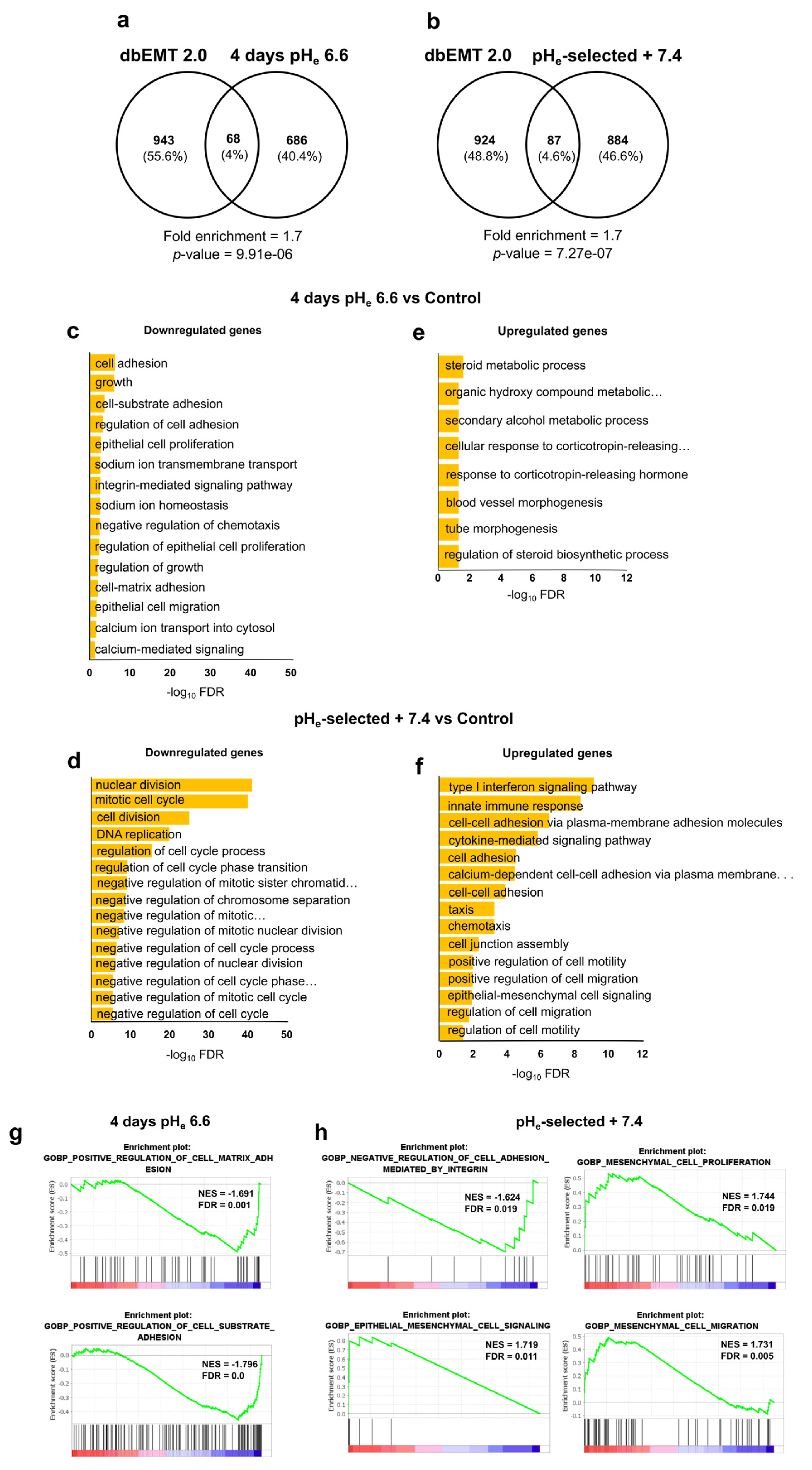 Cancers 15 02572 g007