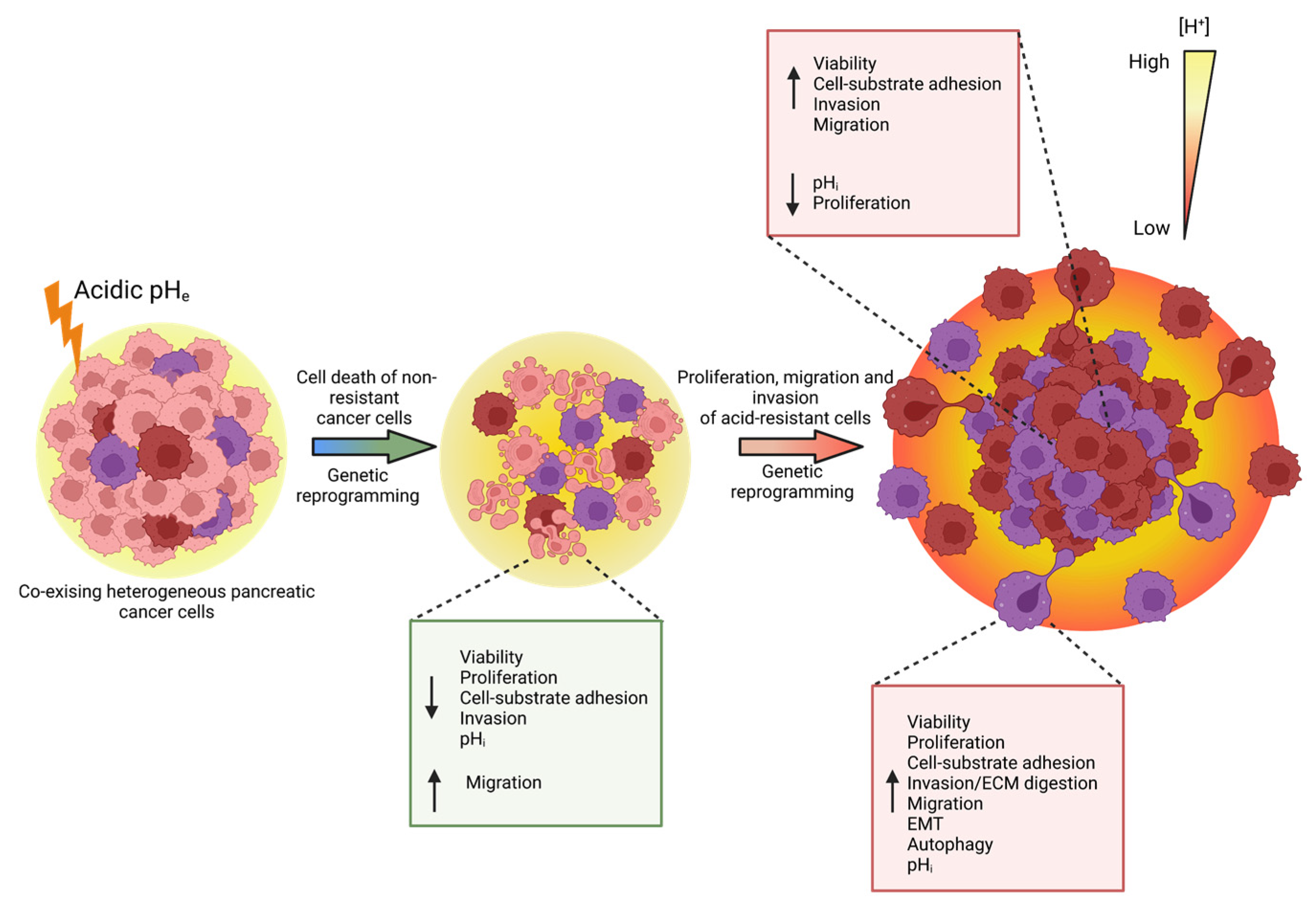 Cancers 15 02572 g008