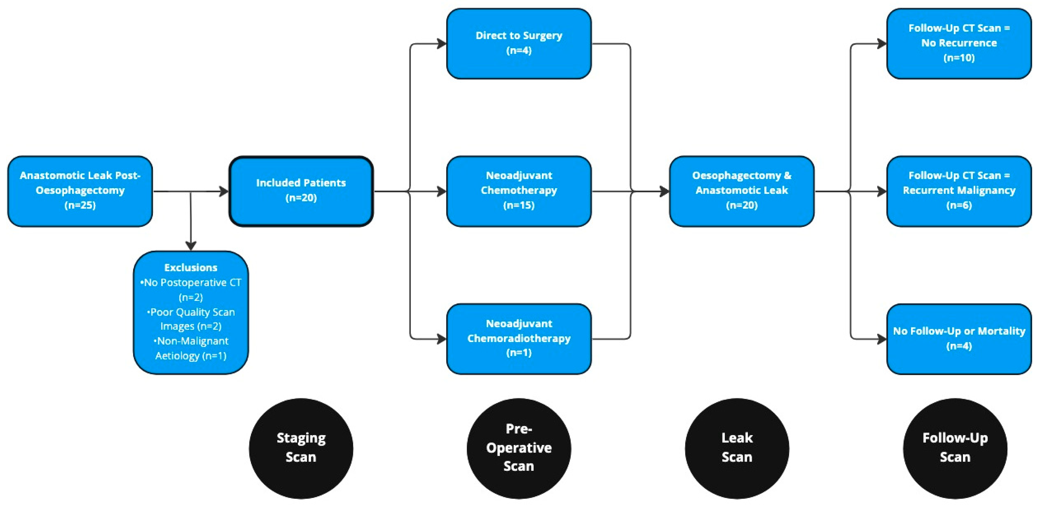 Cancers 15 02577 g002