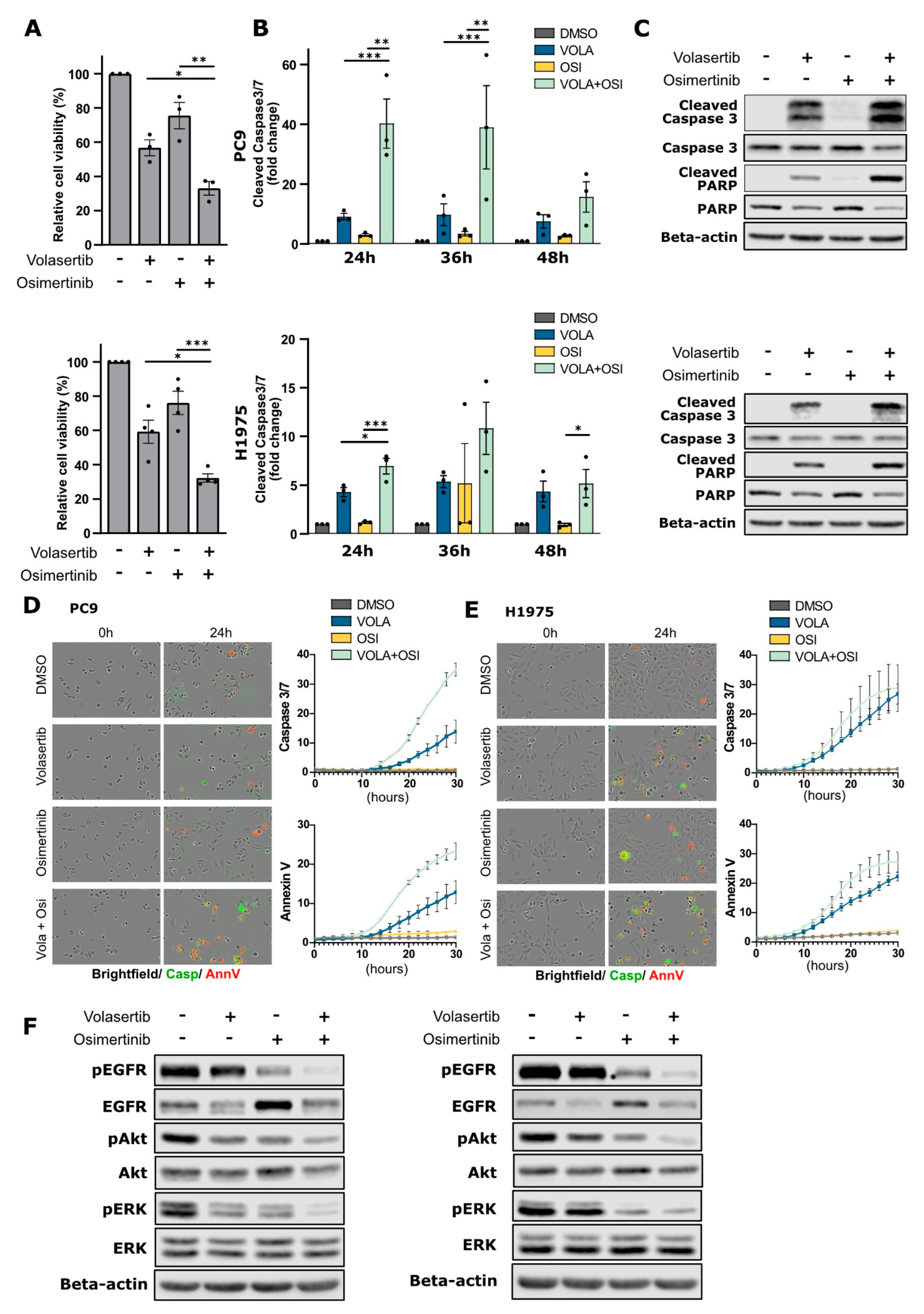 Inhibition of PLK1 Destabilizes EGFR and Sensitizes EGFR