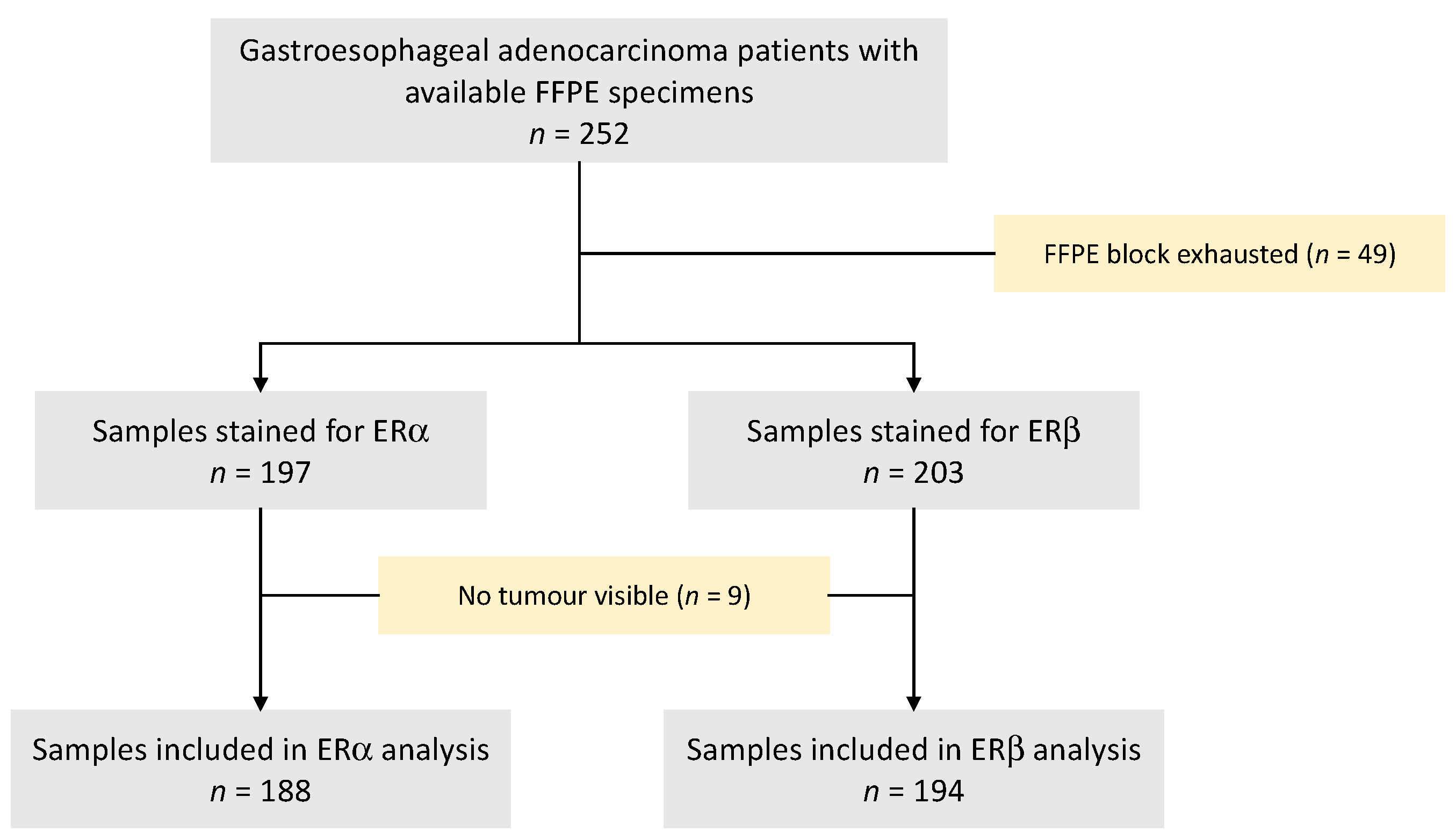 Cancers 15 02591 g001 Cancers 15 02591 g001