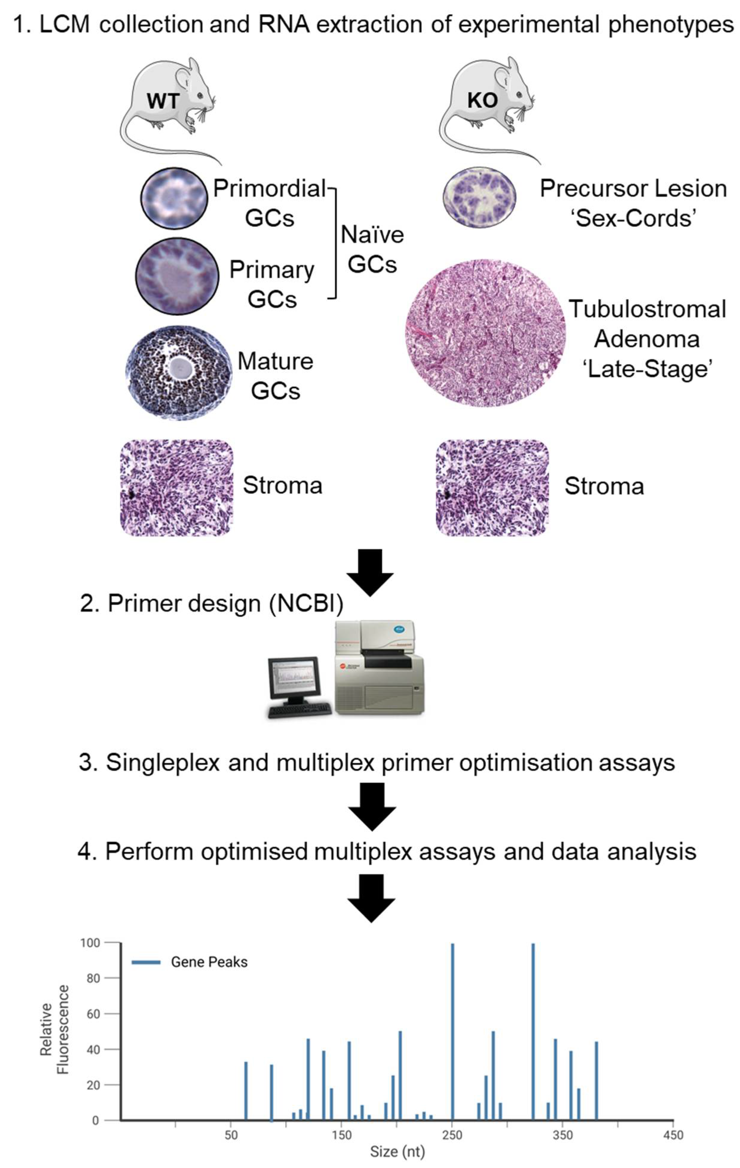 Cancers 15 02595 g001