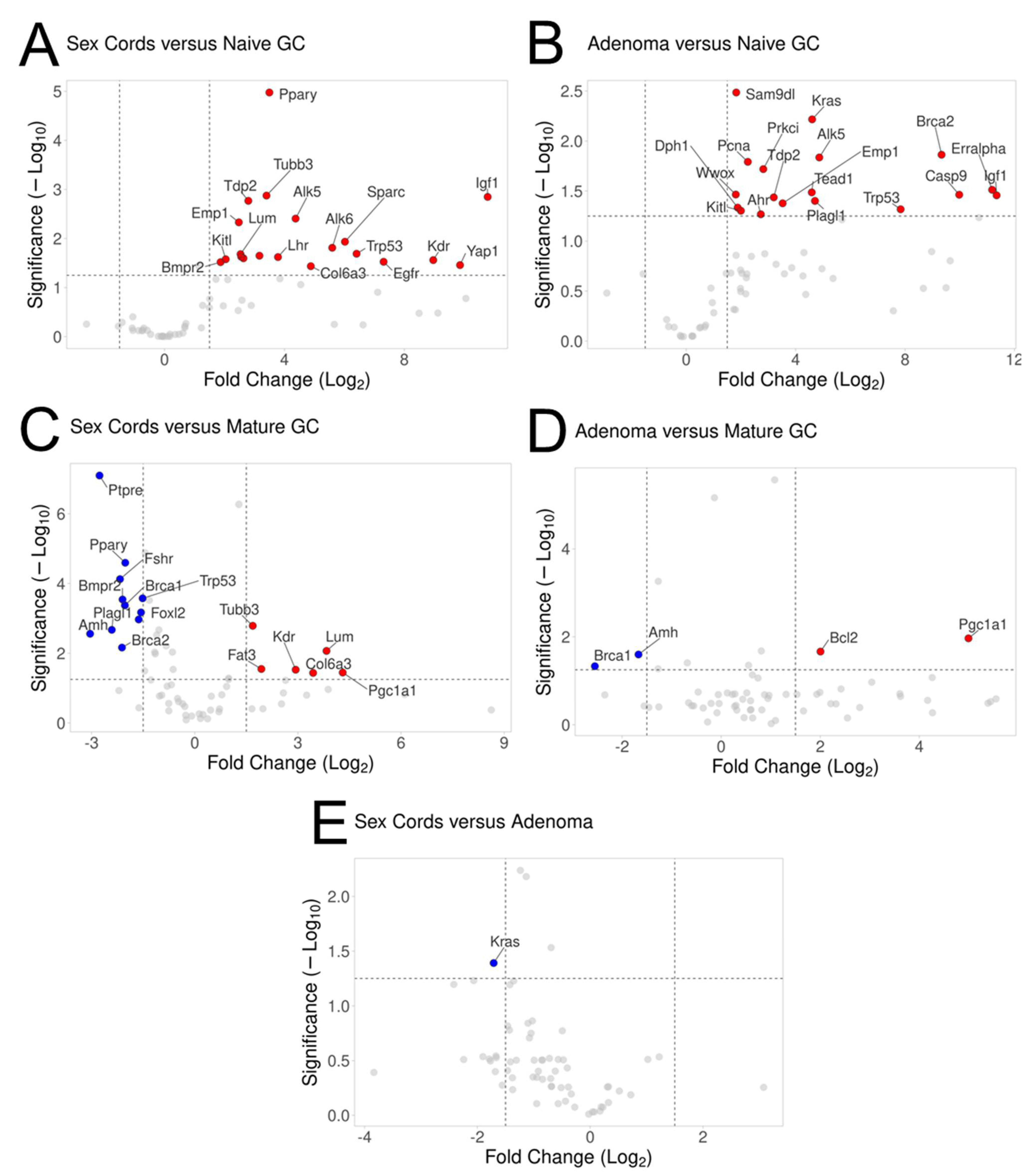 Cancers 15 02595 g003