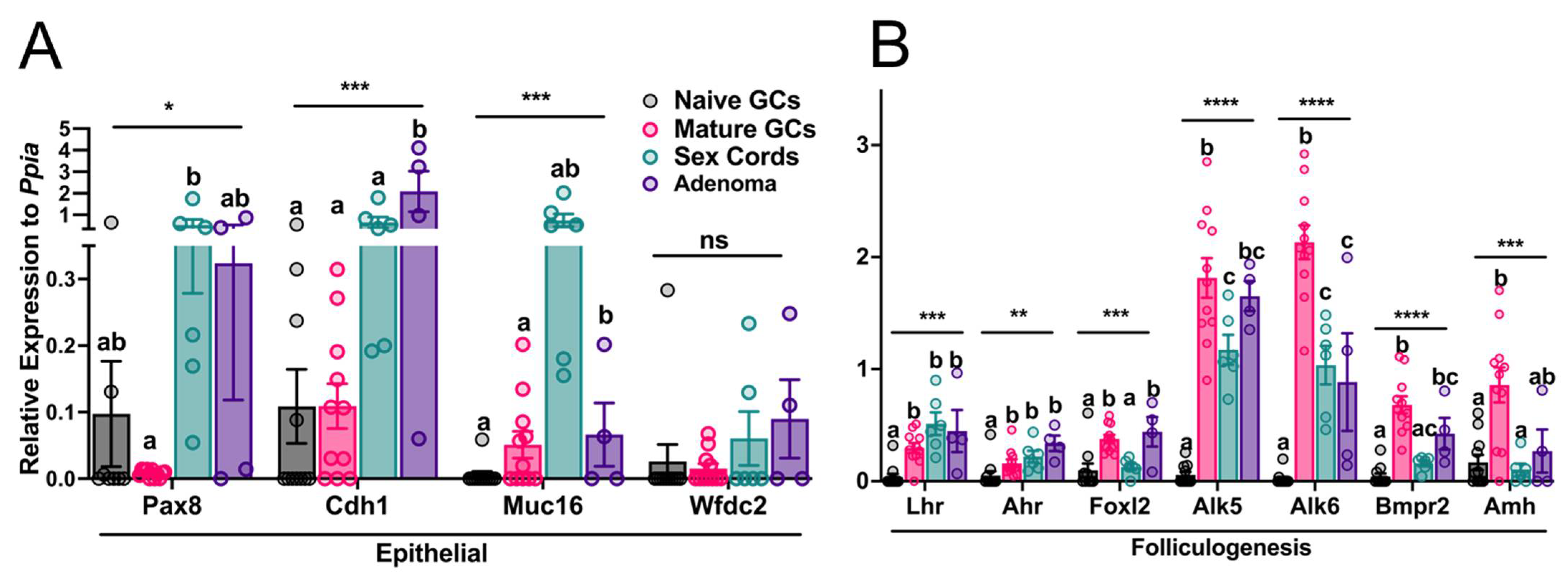 Cancers 15 02595 g004