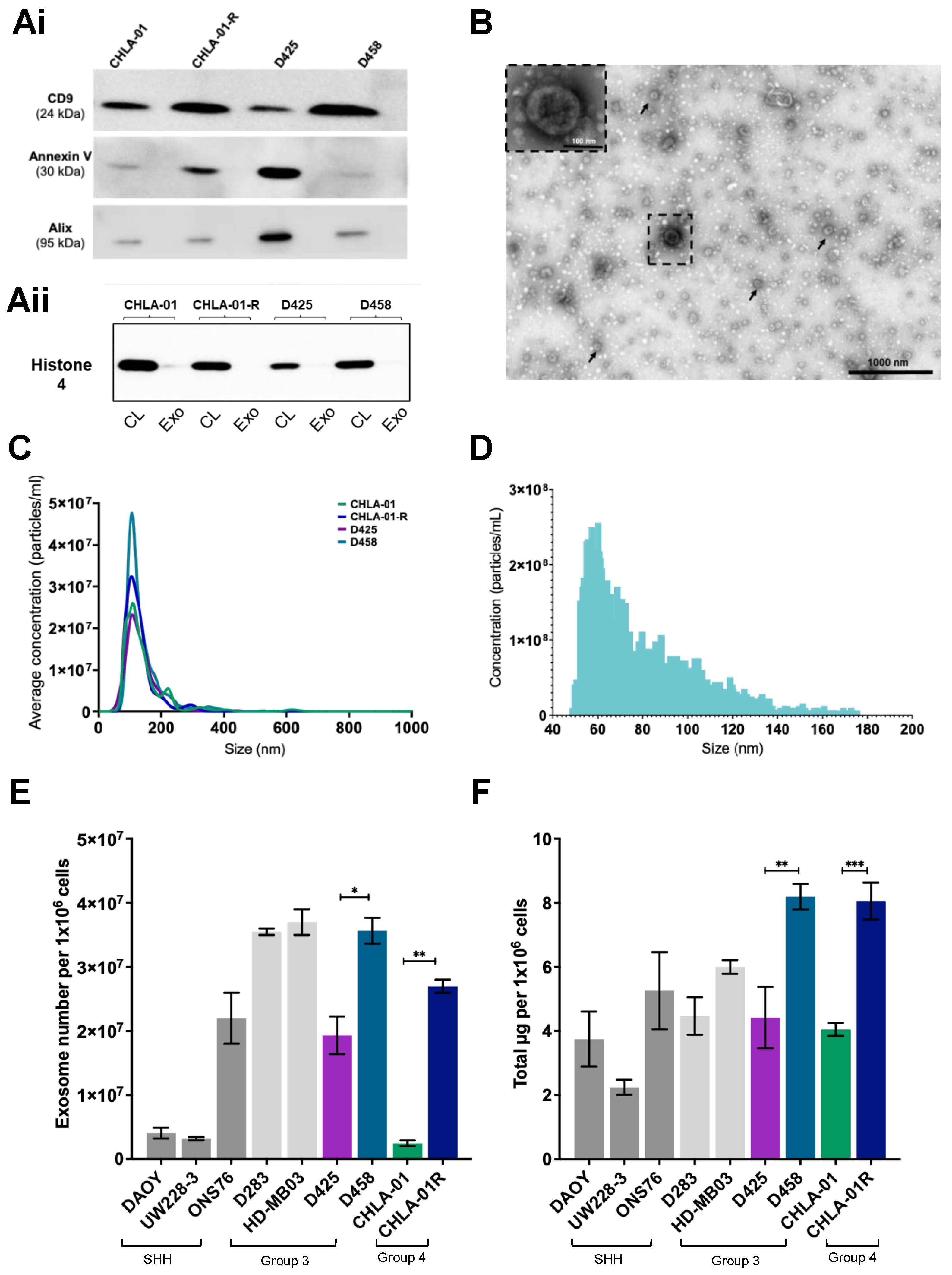Cancers 15 02601 g001 Cancers 15 02601 g001