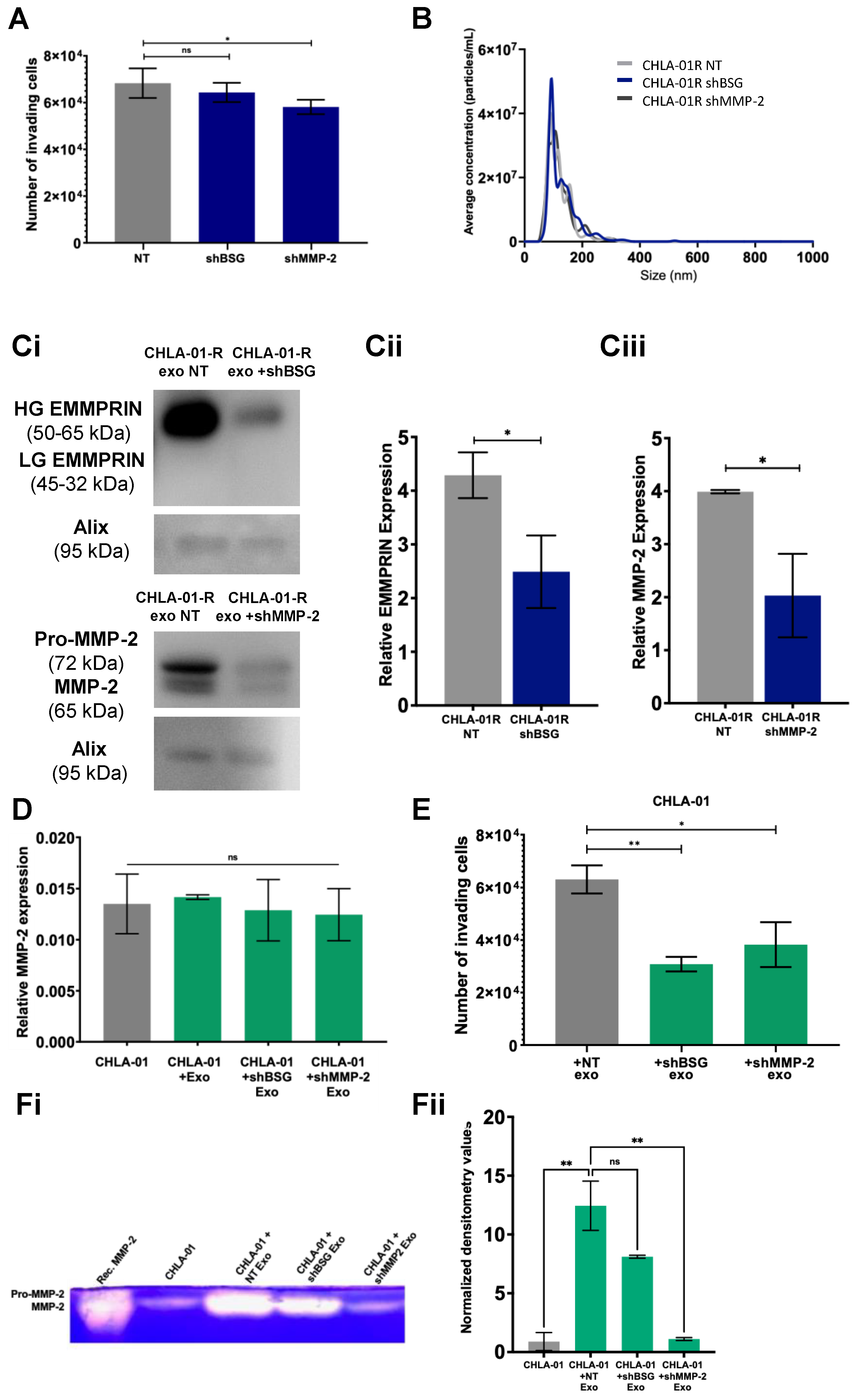 Cancers 15 02601 g005 Cancers 15 02601 g005