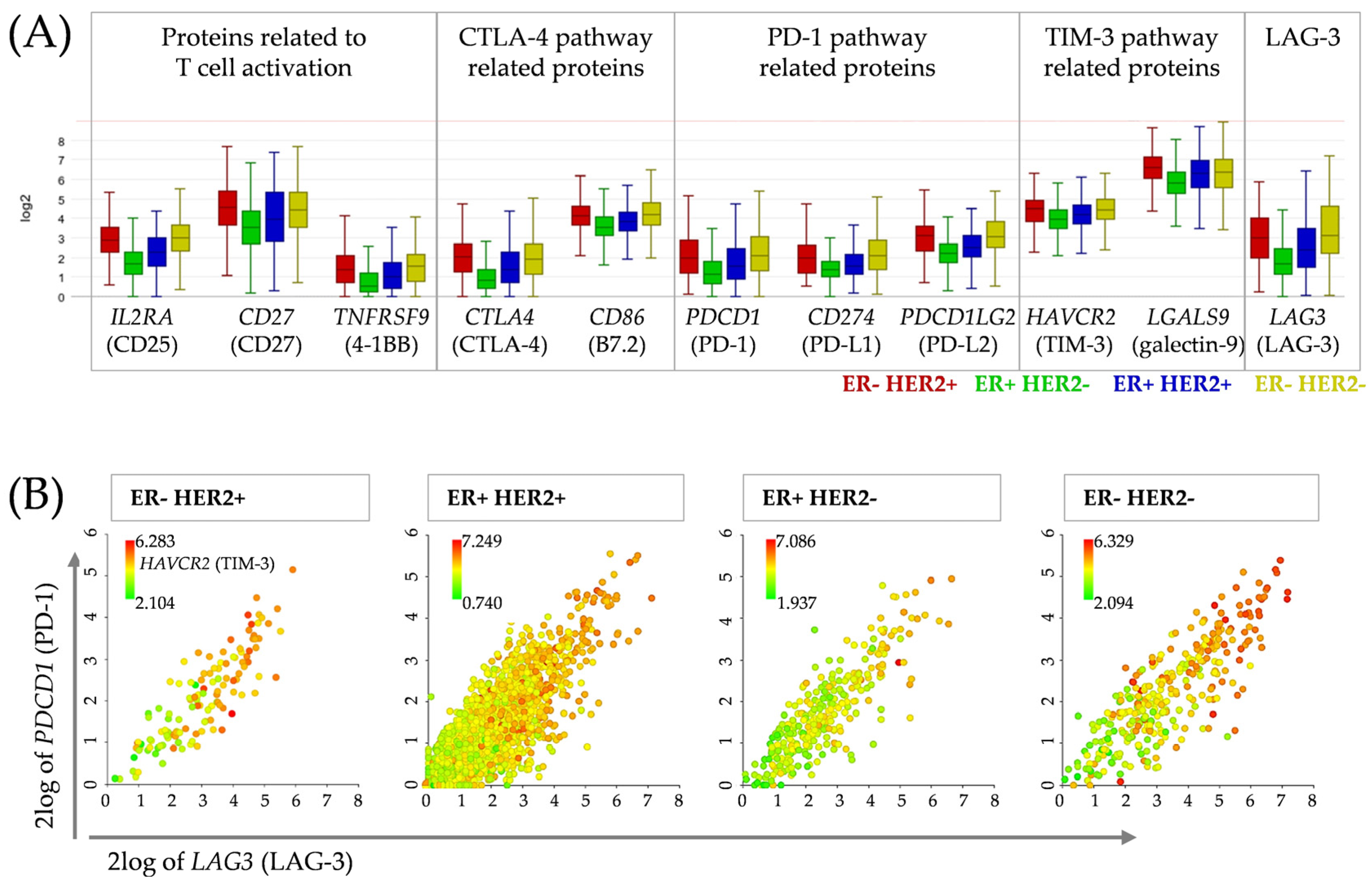 Cancers 15 02615 g004 Cancers 15 02615 g004