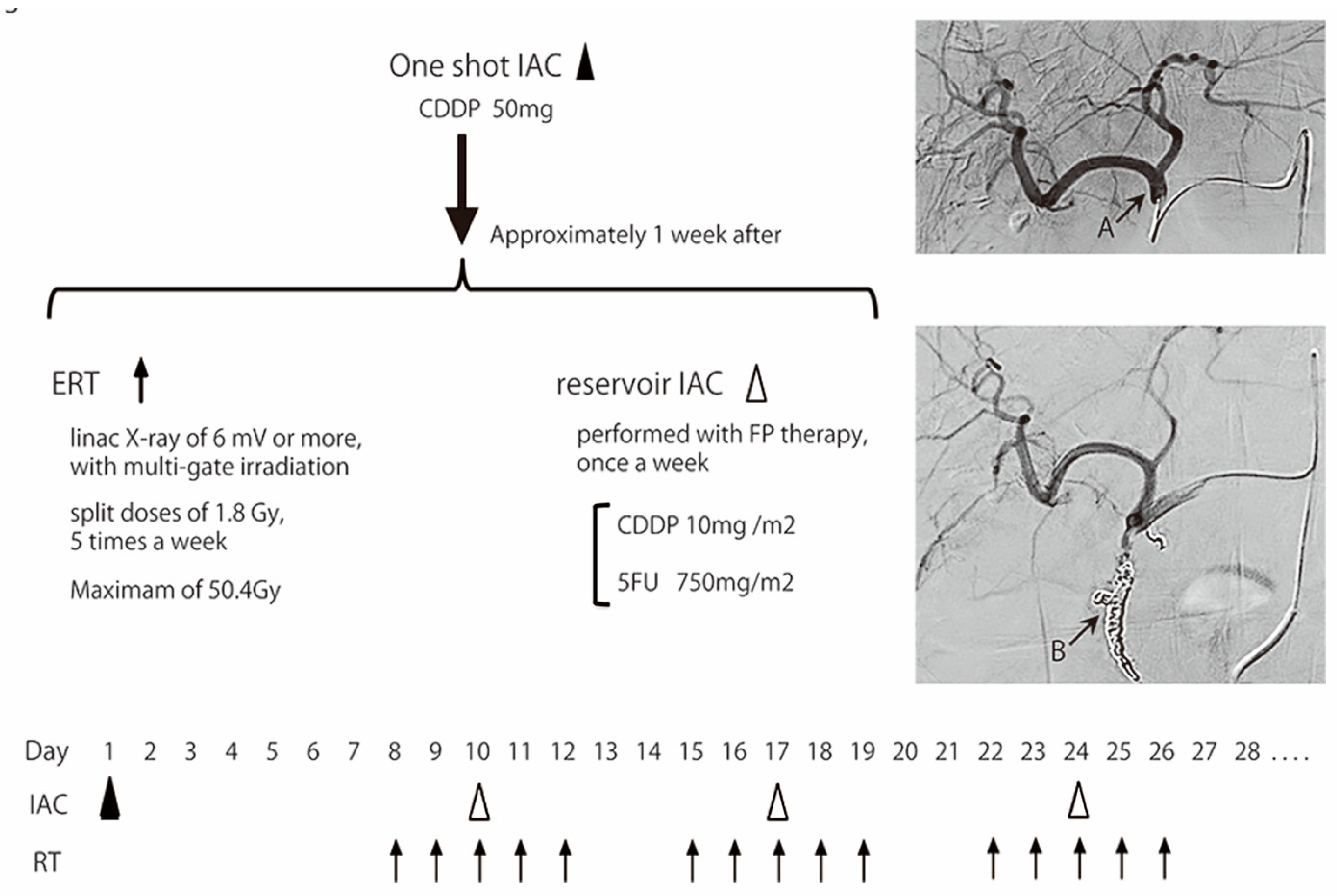 Cancers 15 02616 g001 Cancers 15 02616 g001