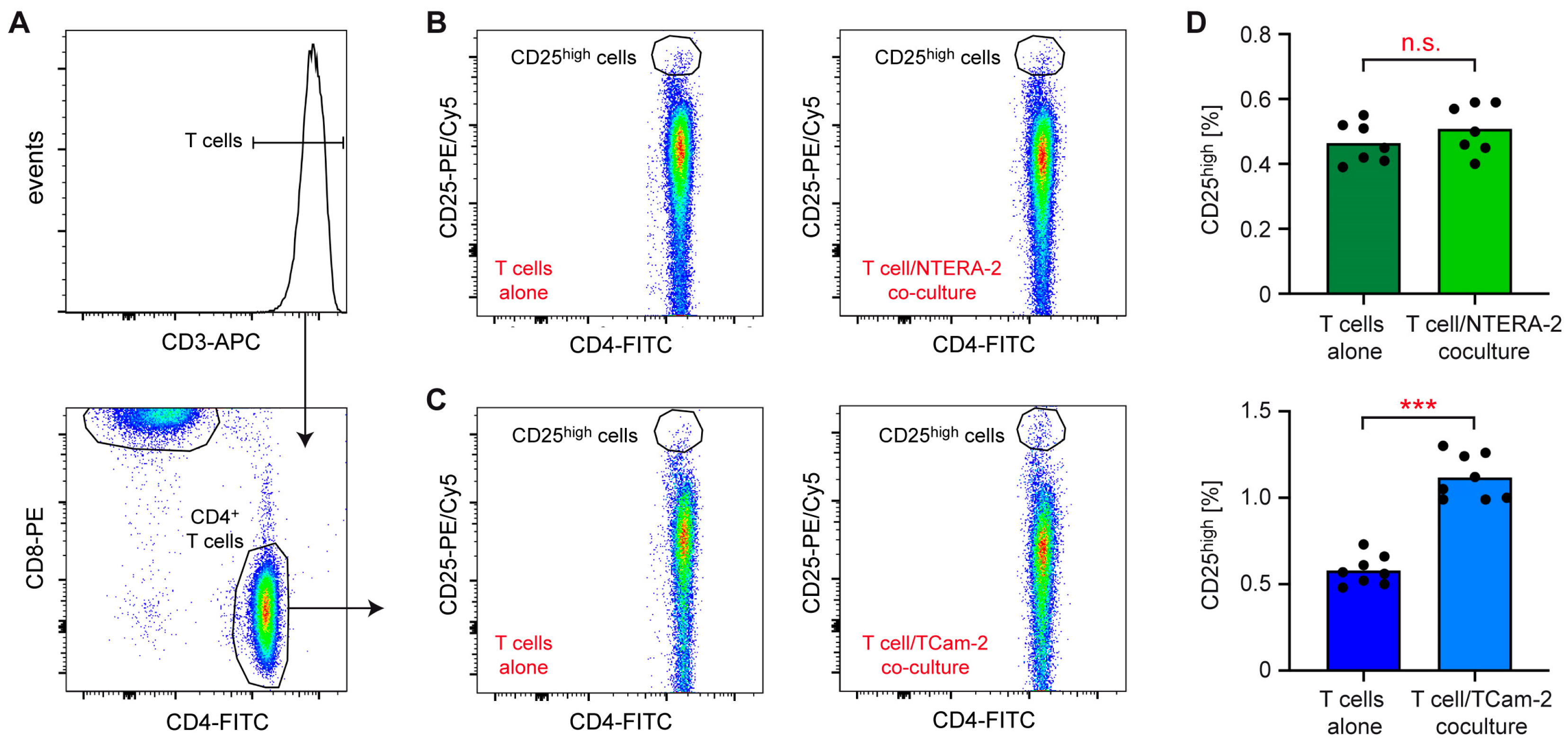 Cancers 15 02619 g001 Cancers 15 02619 g001