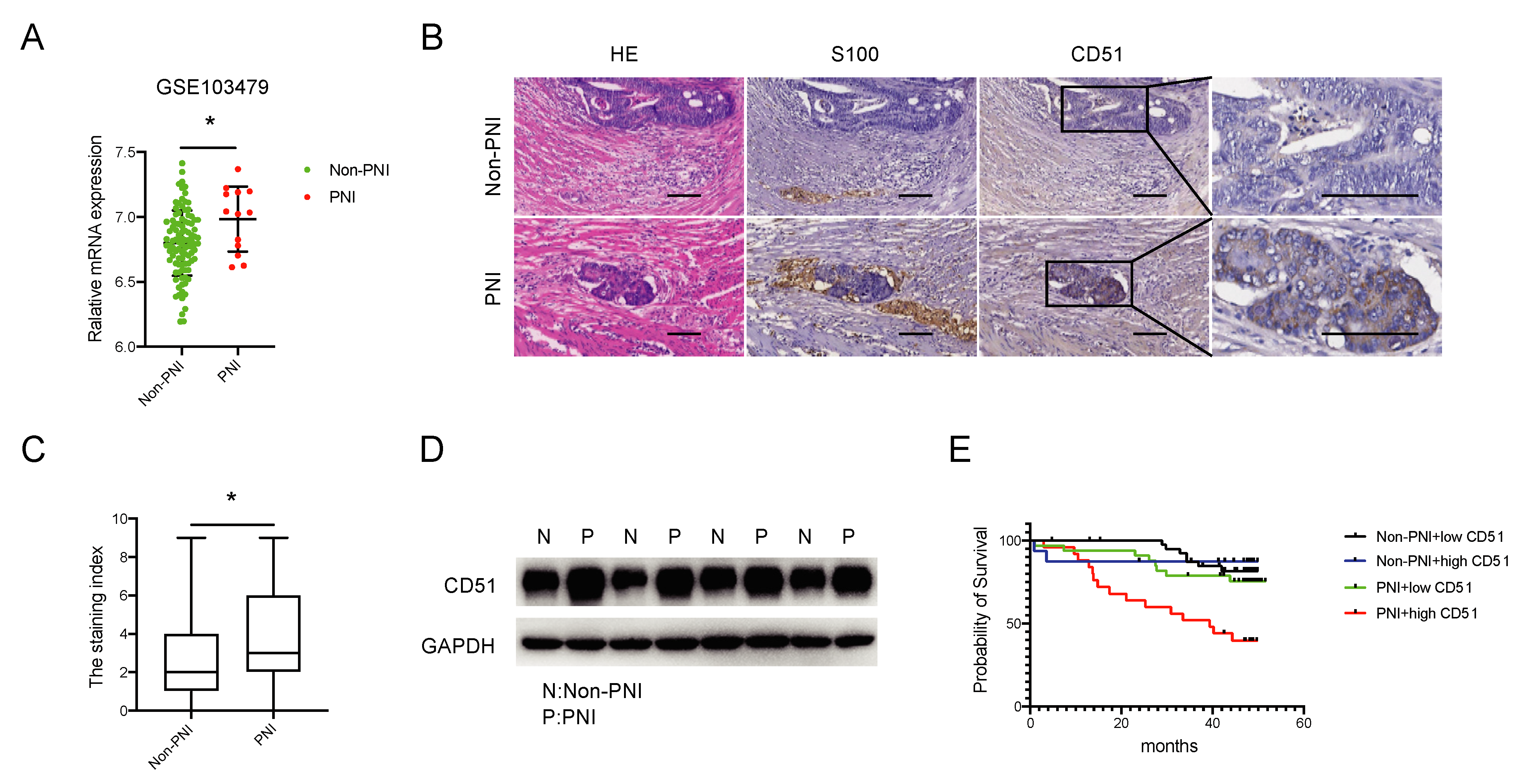 Cancers 15 02623 g001
