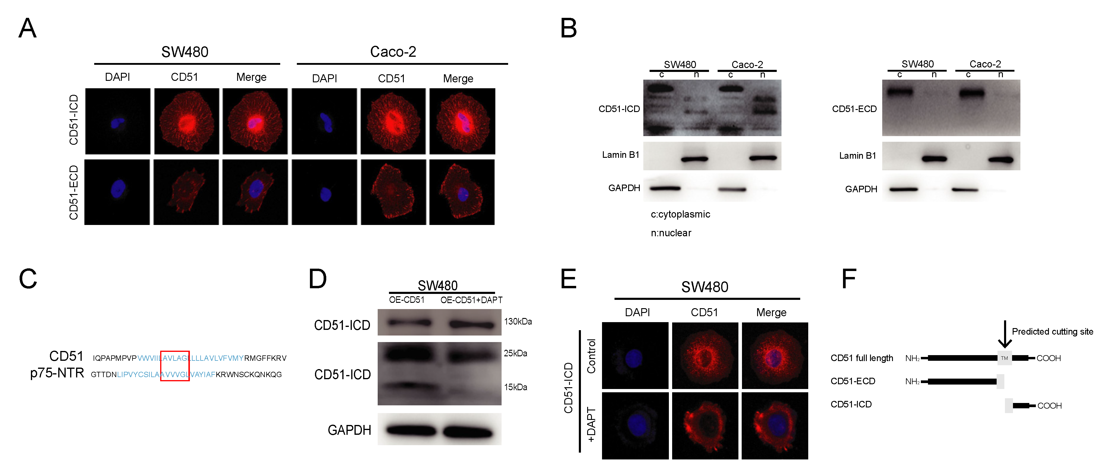 Cancers 15 02623 g003