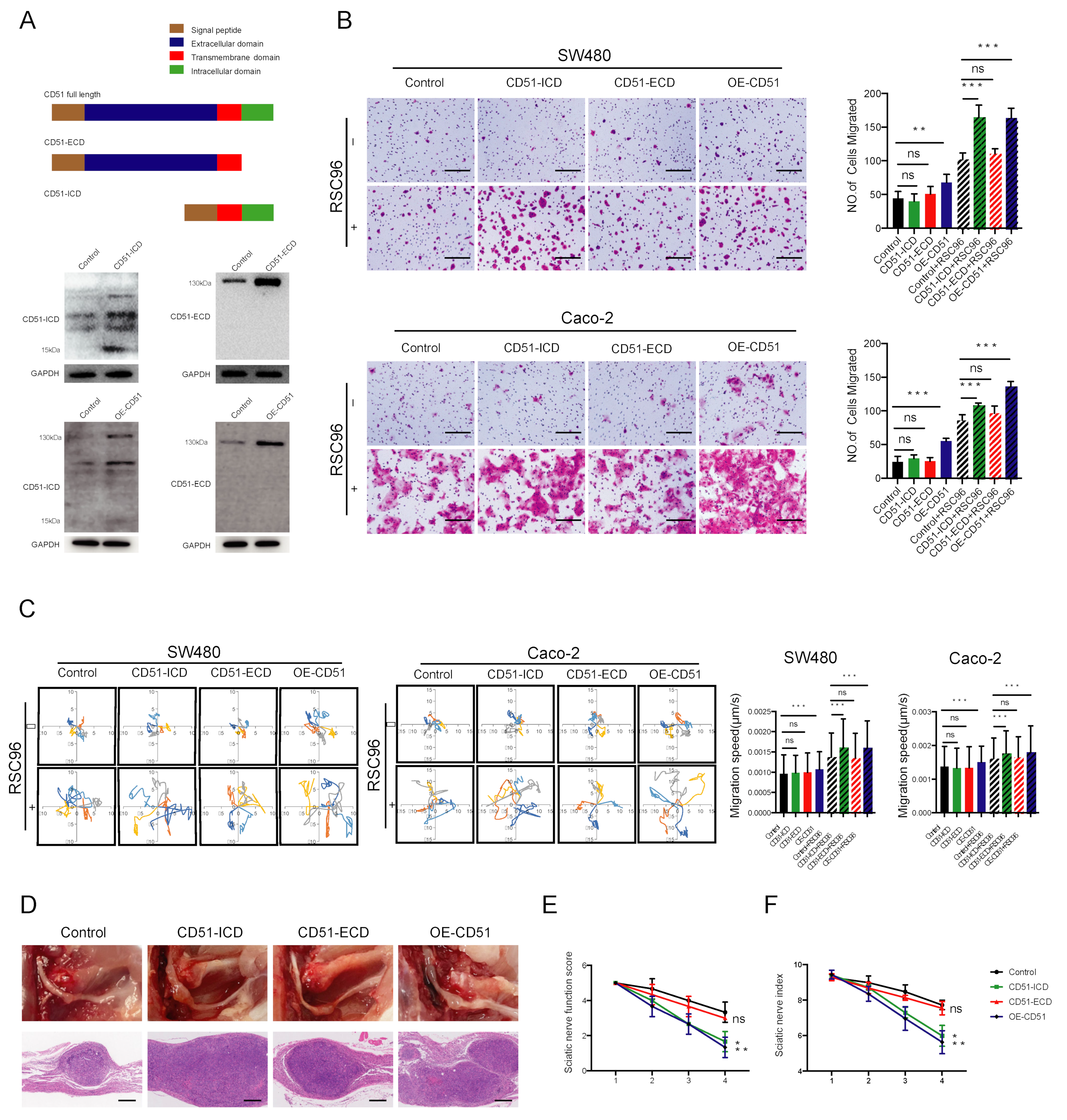 Cancers 15 02623 g004