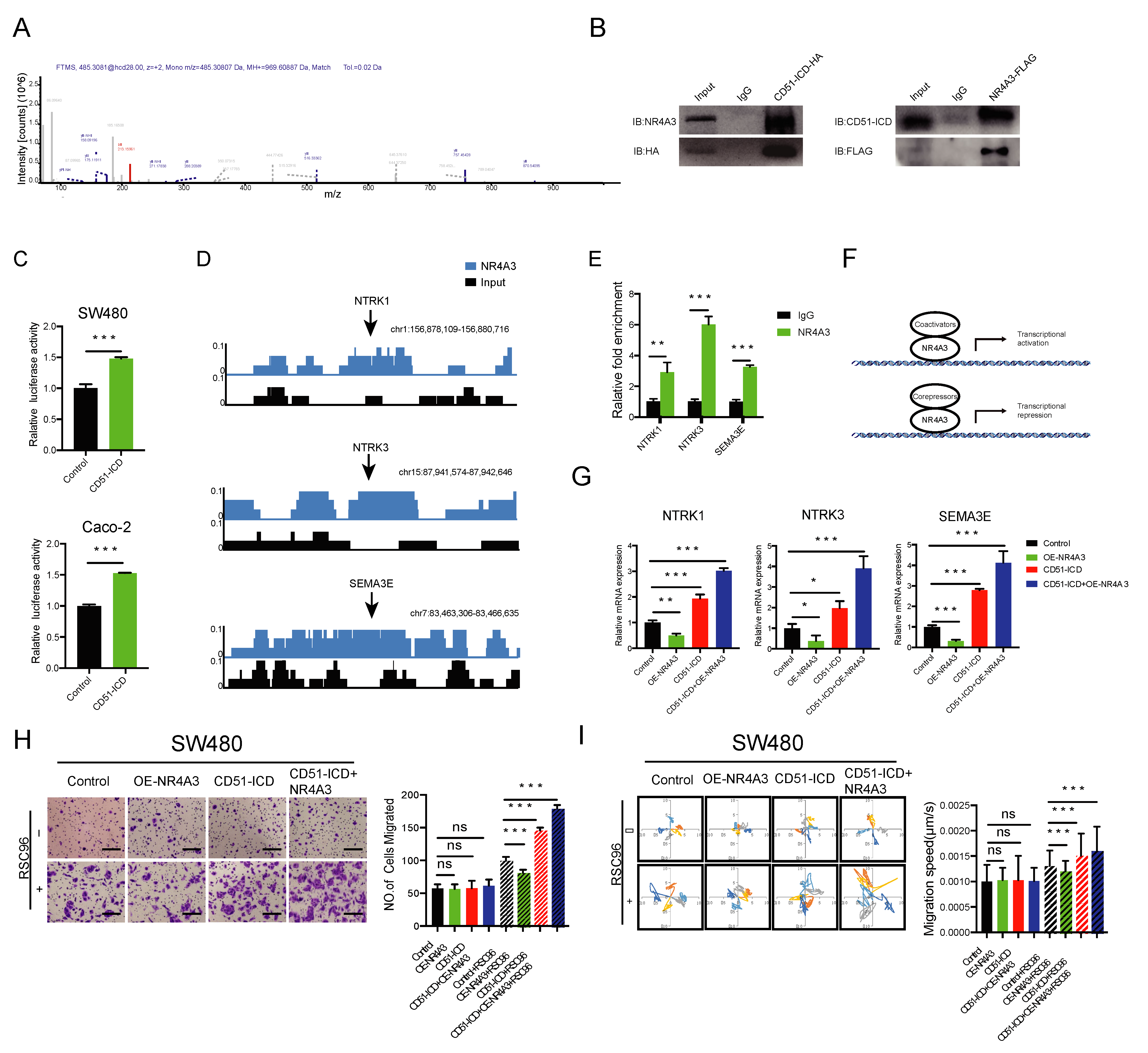 Cancers 15 02623 g005