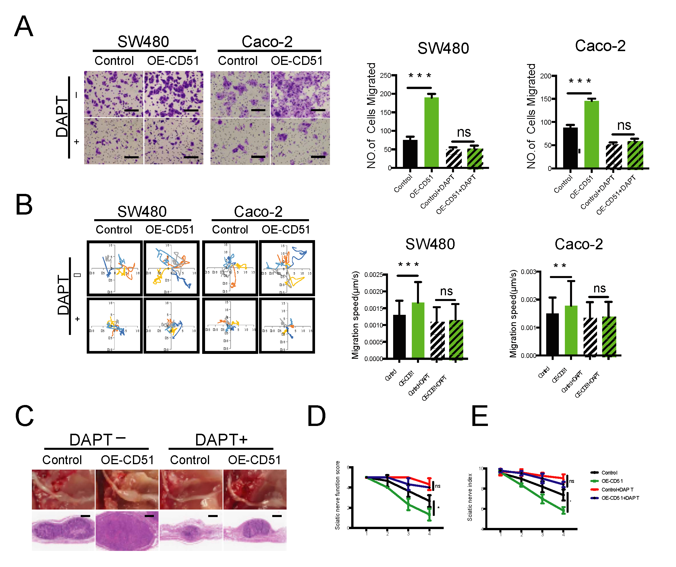 Cancers 15 02623 g006