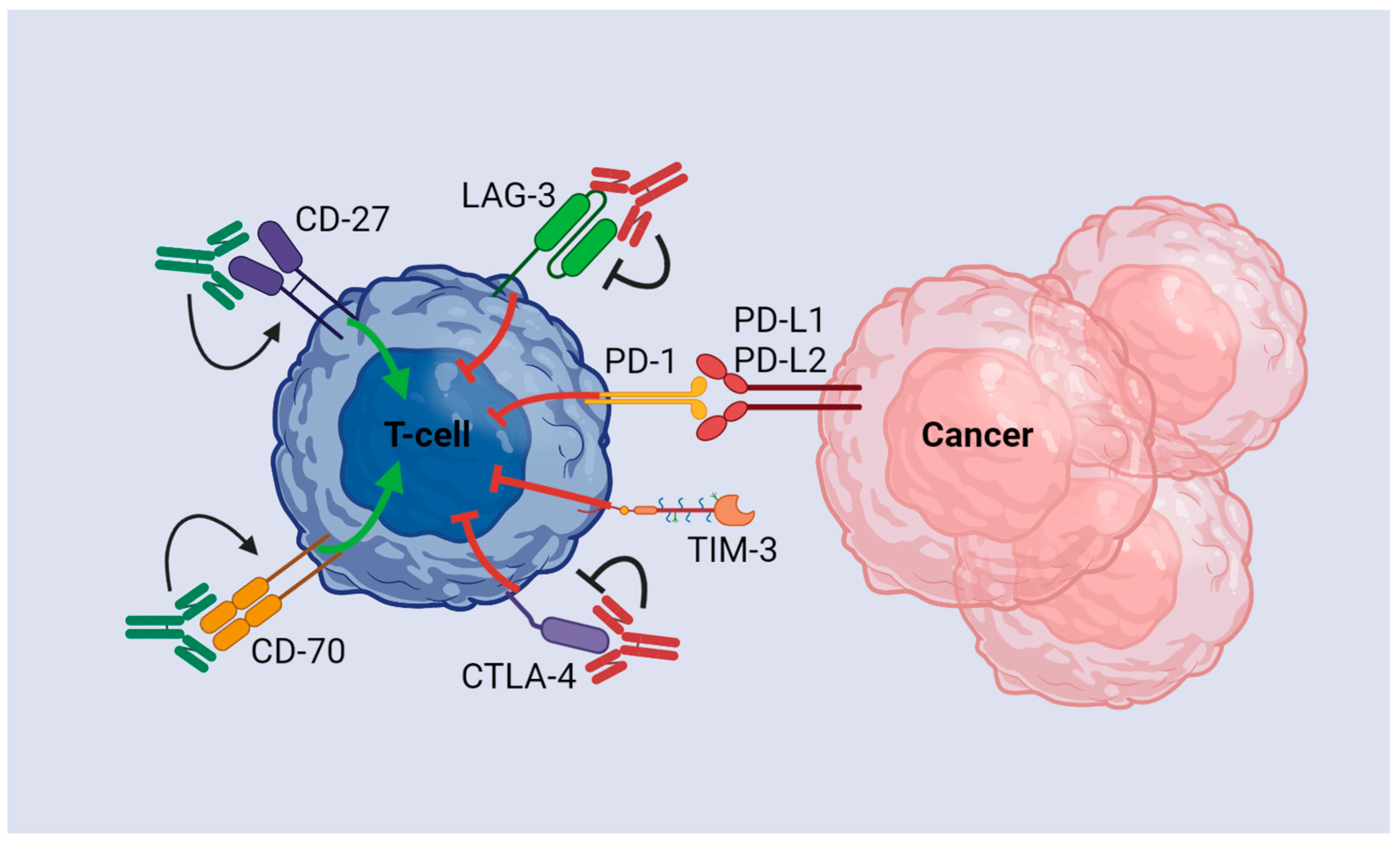 Cancers 15 02624 g002