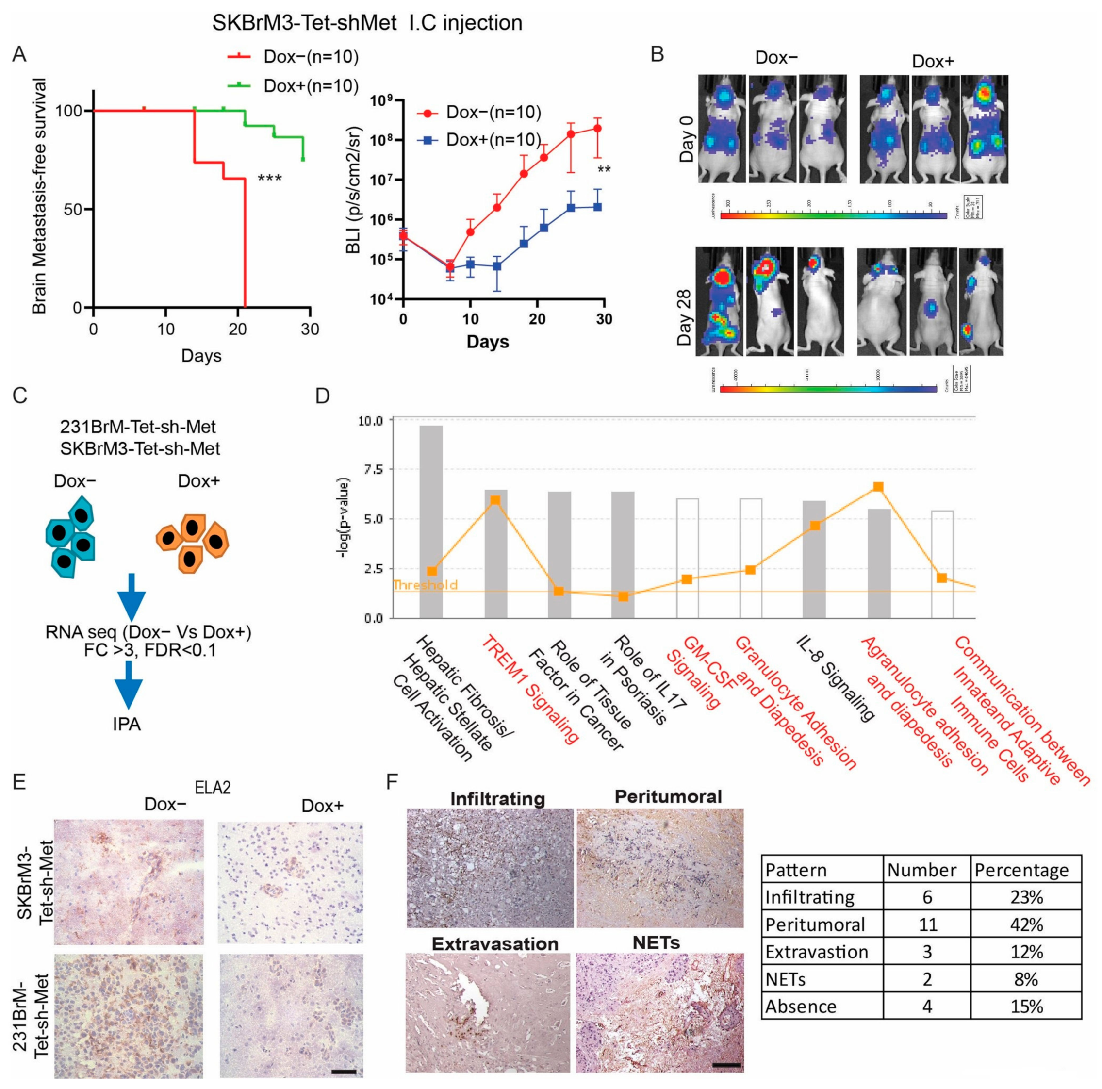 Cancers 15 02626 g001