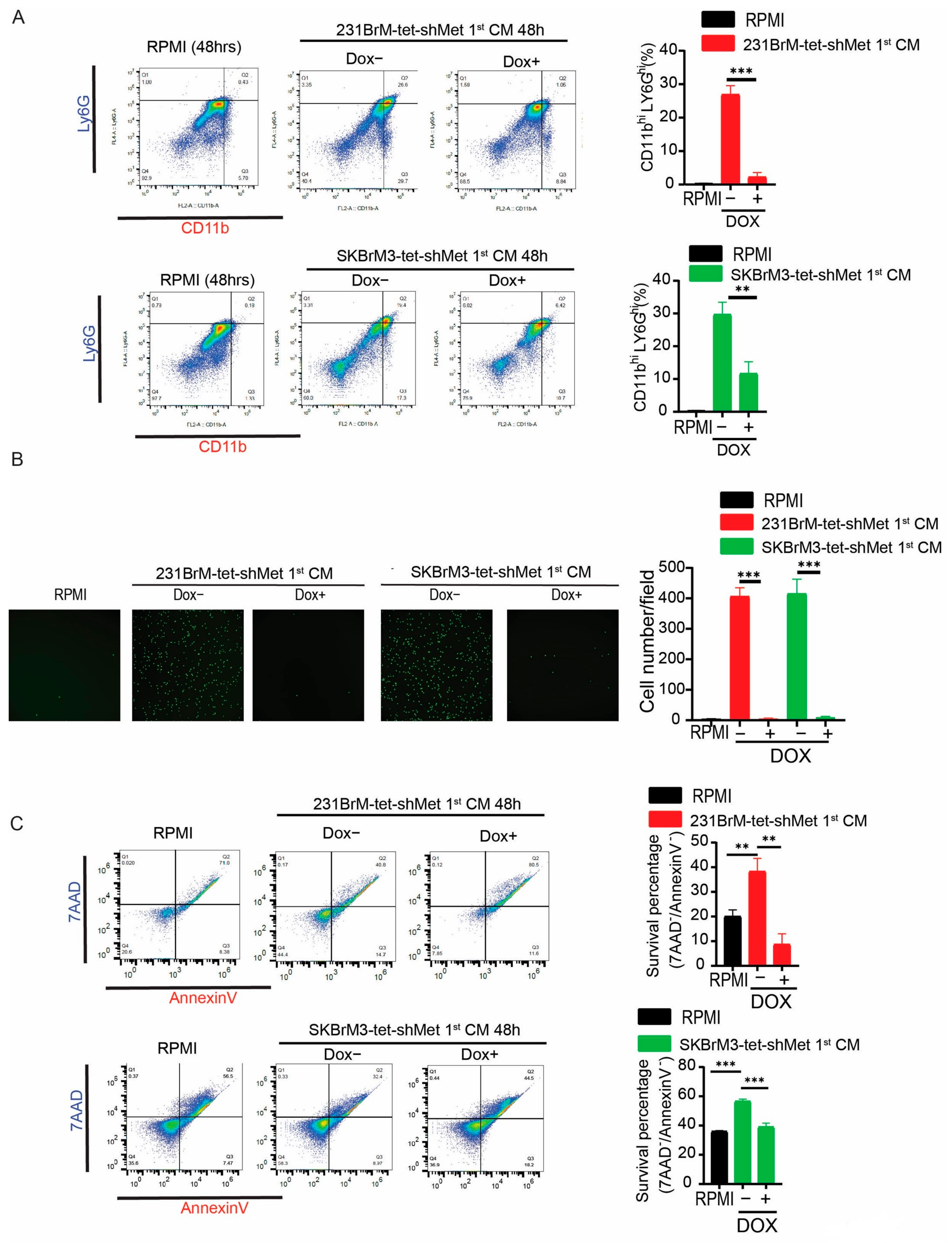 Cancers 15 02626 g003