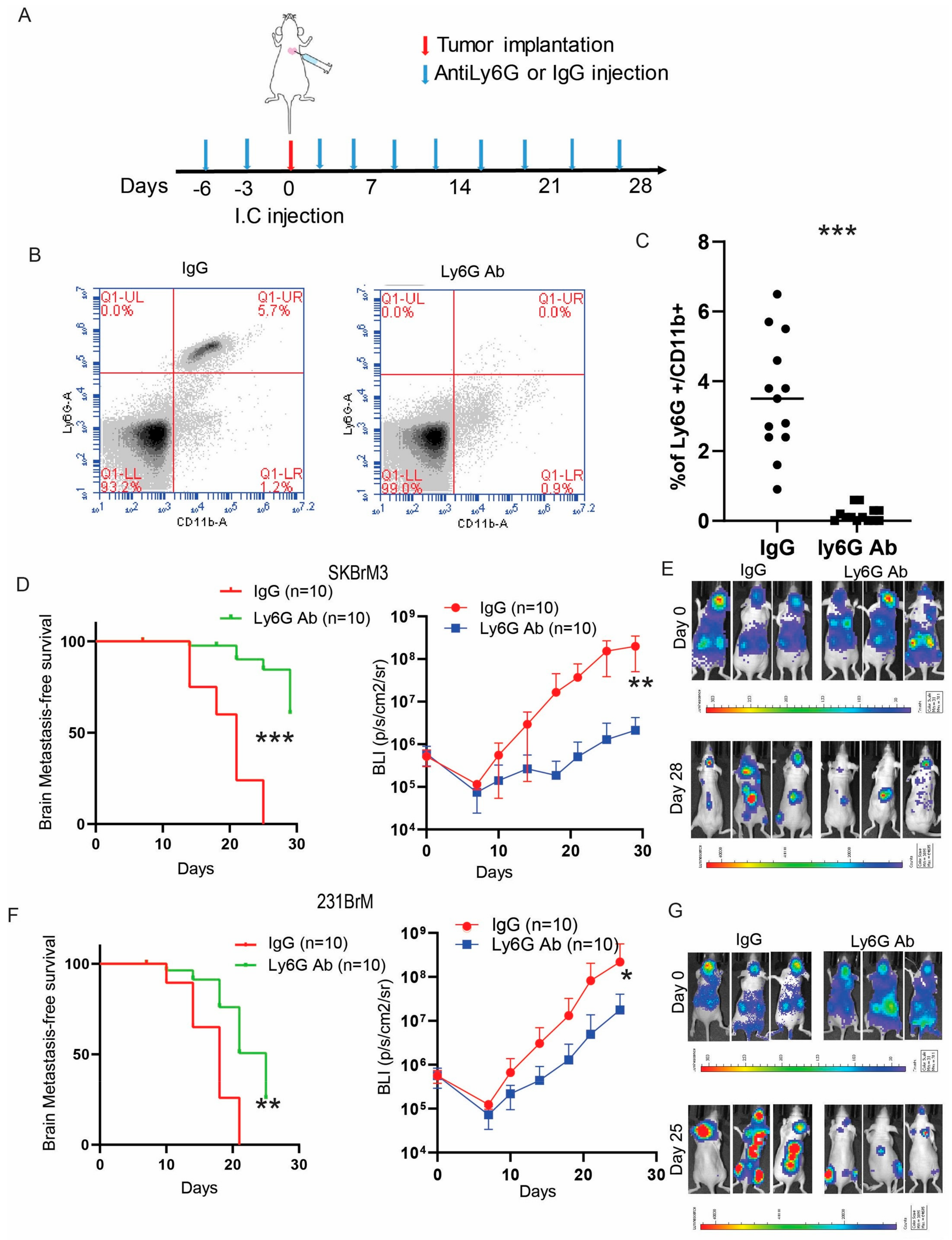 Cancers 15 02626 g004