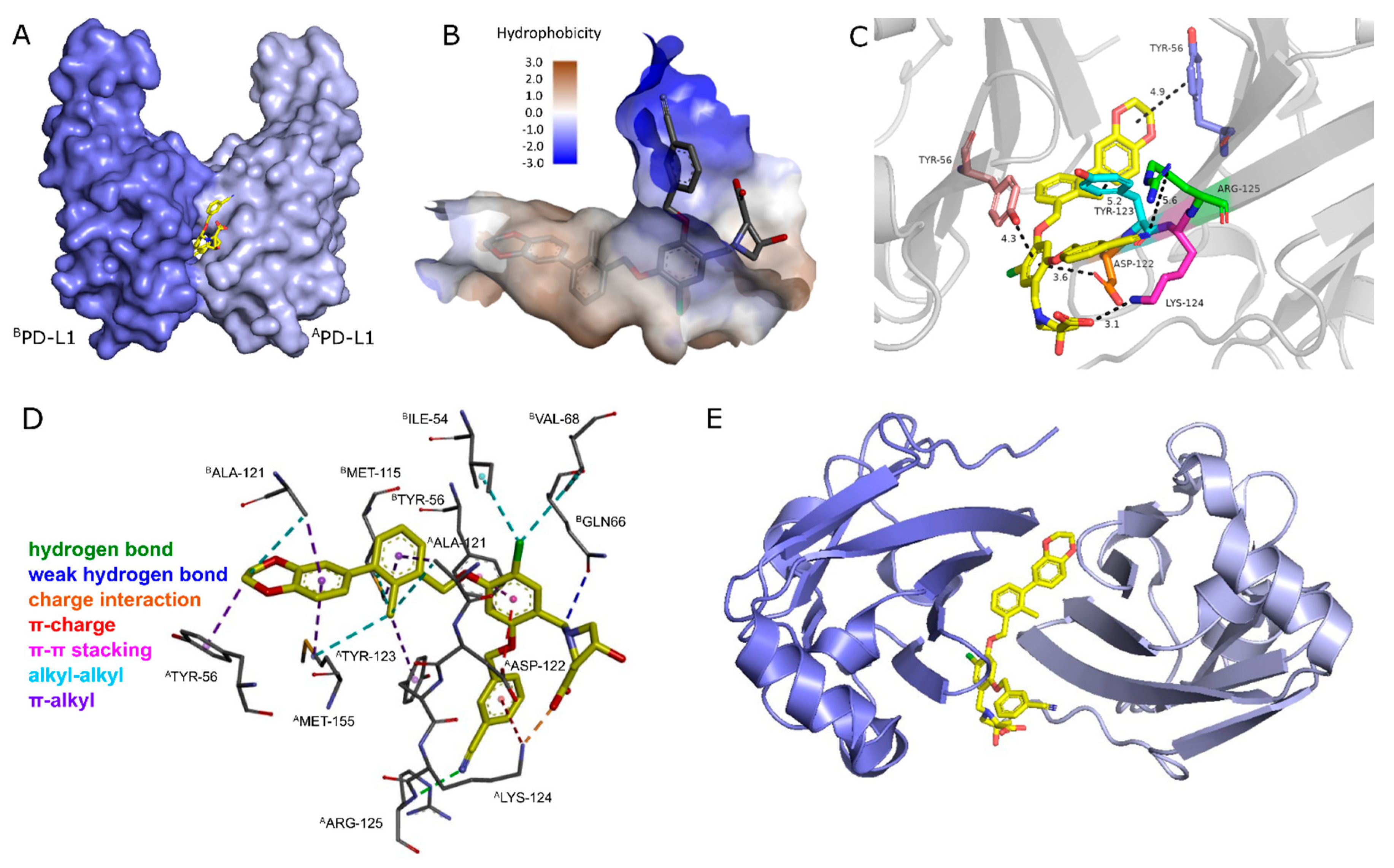 Cancers 15 02638 g001