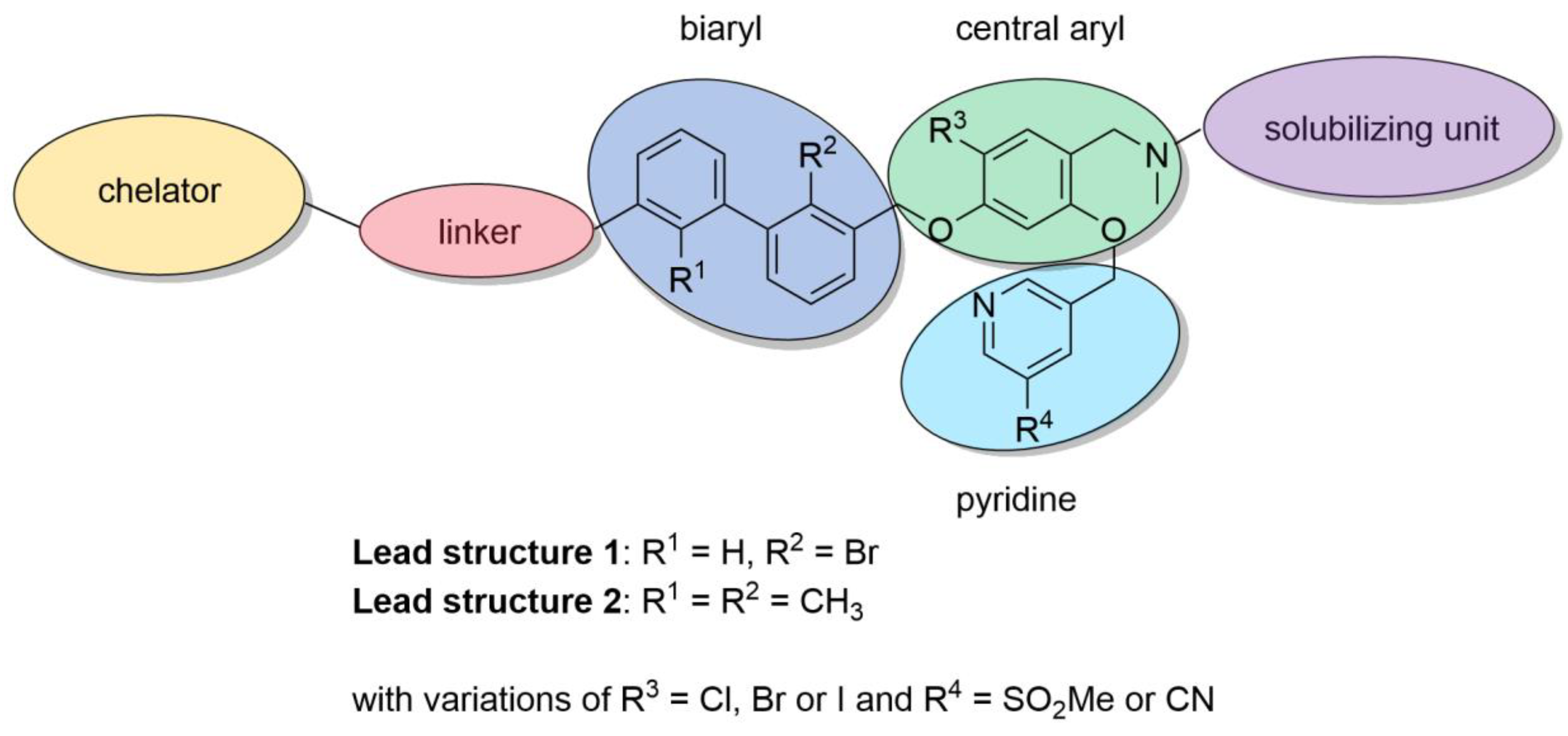 Cancers 15 02638 g003