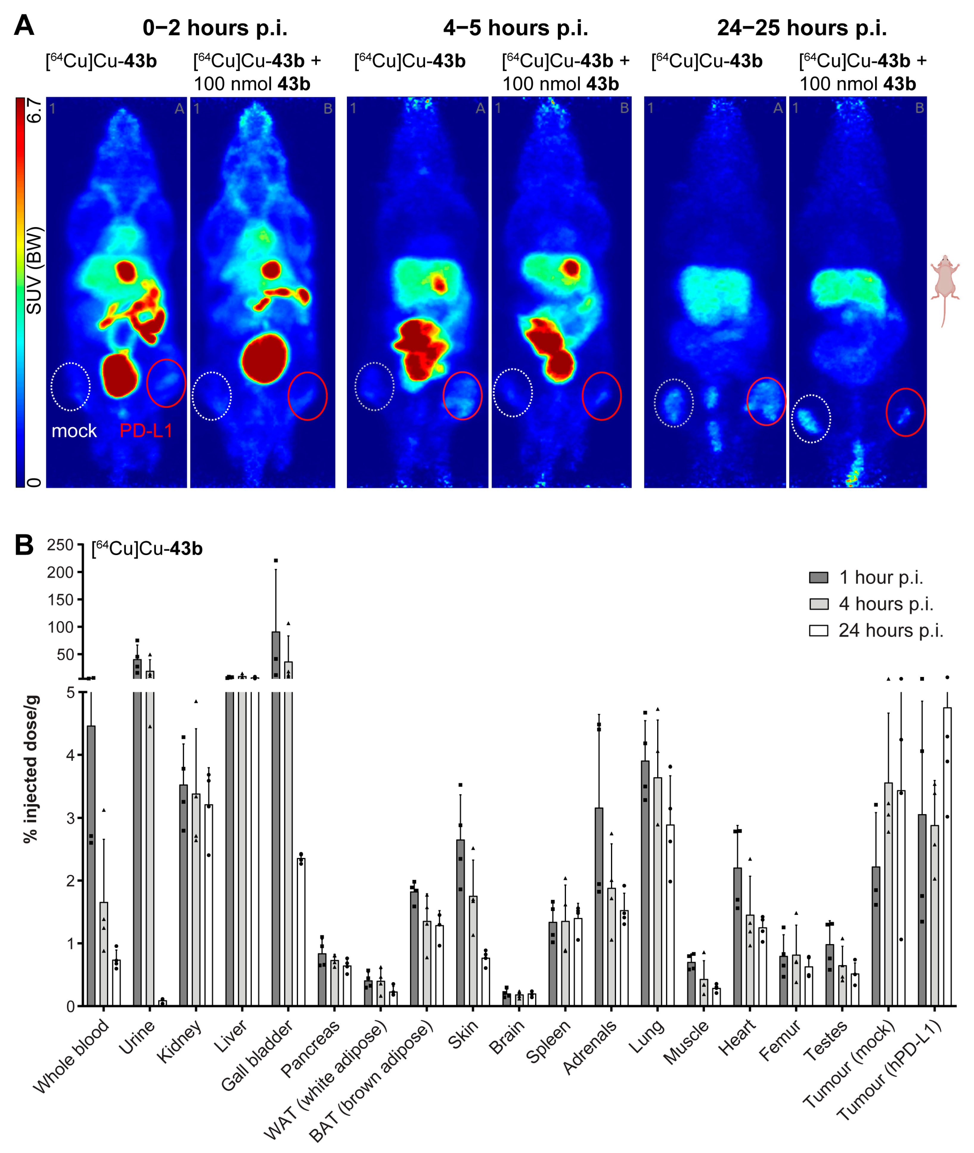 Cancers 15 02638 g006