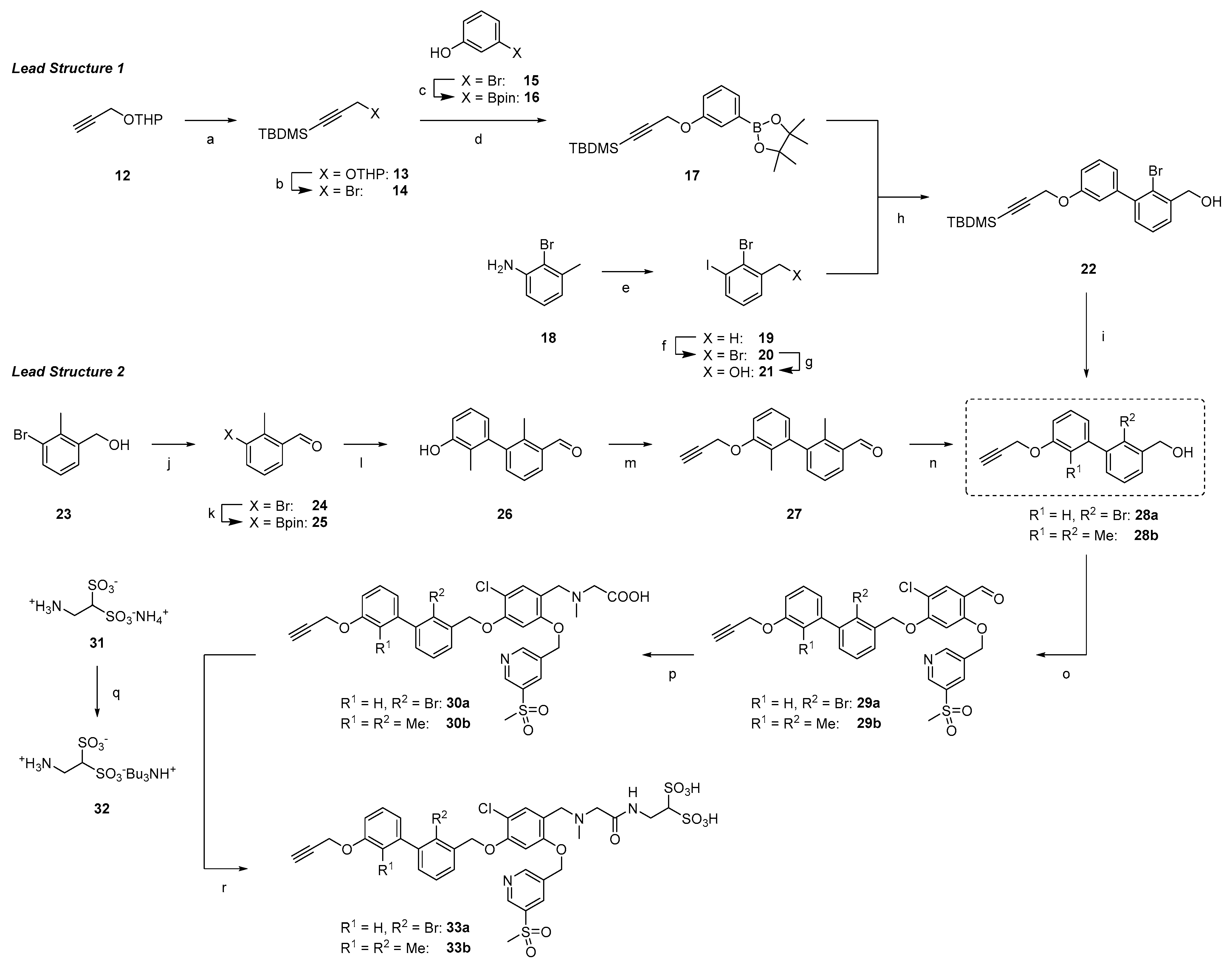 Cancers 15 02638 sch003