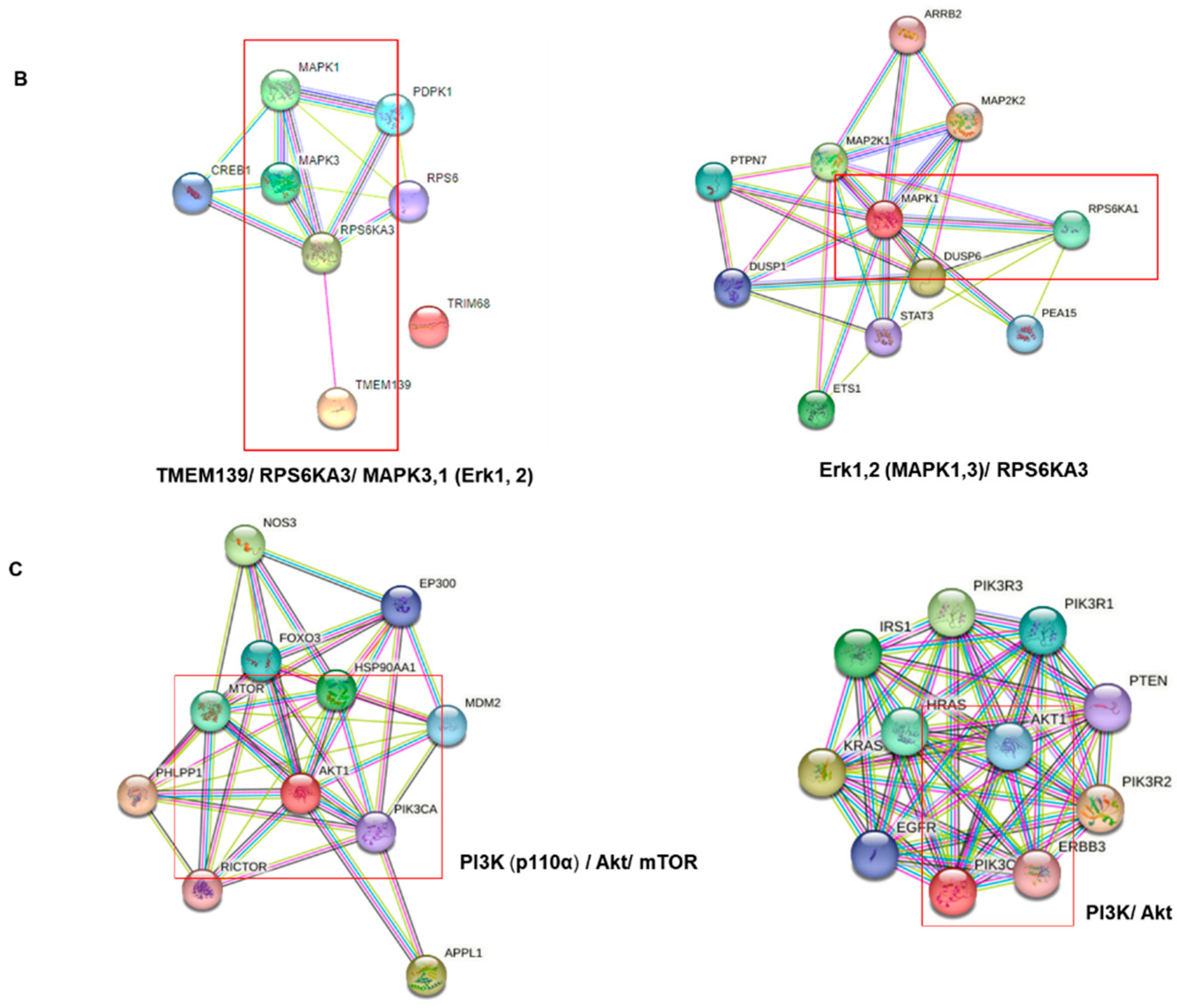 Cancers 15 02642 g003b Cancers 15 02642 g003b