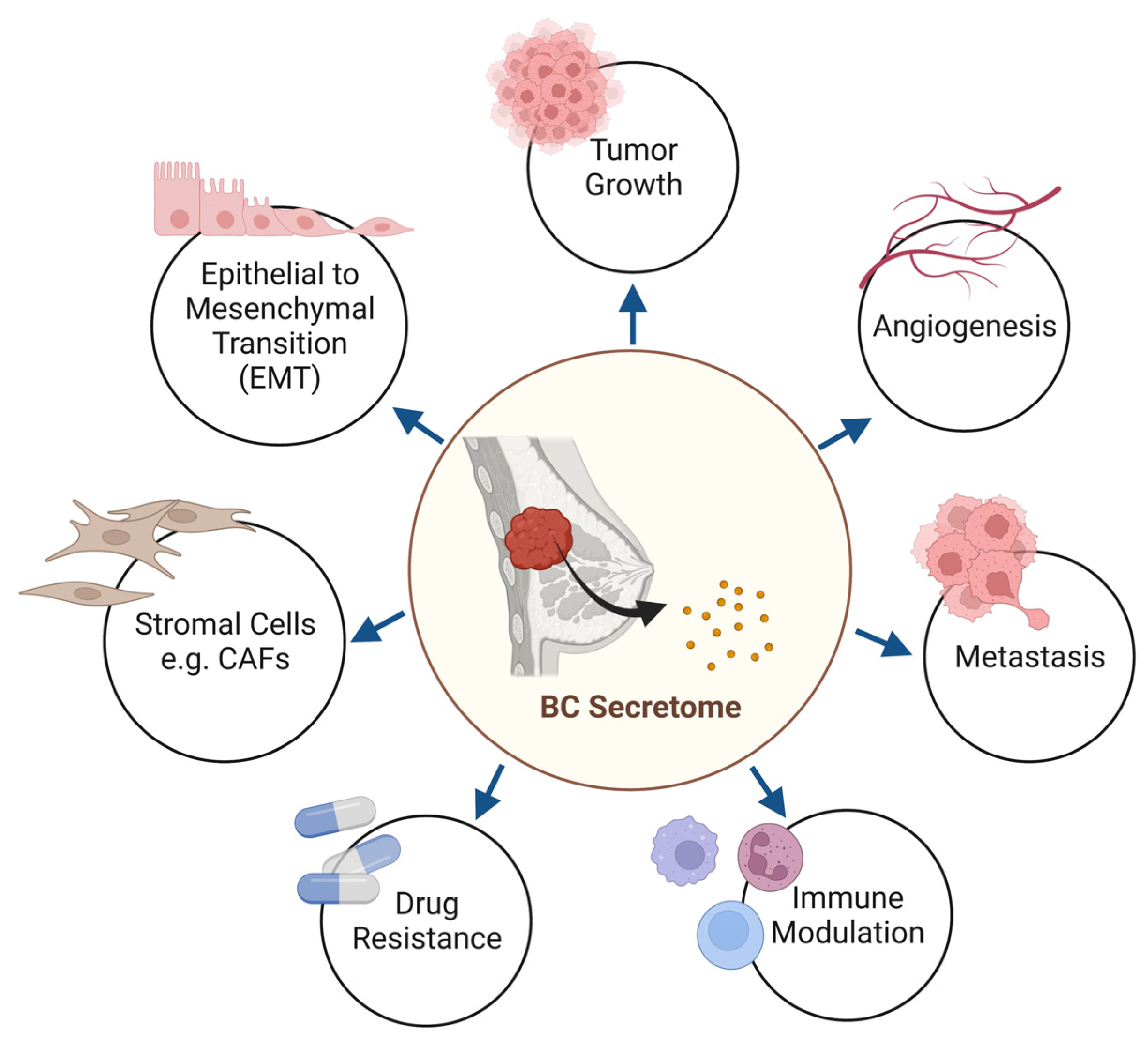 Cancers 15 02653 g002