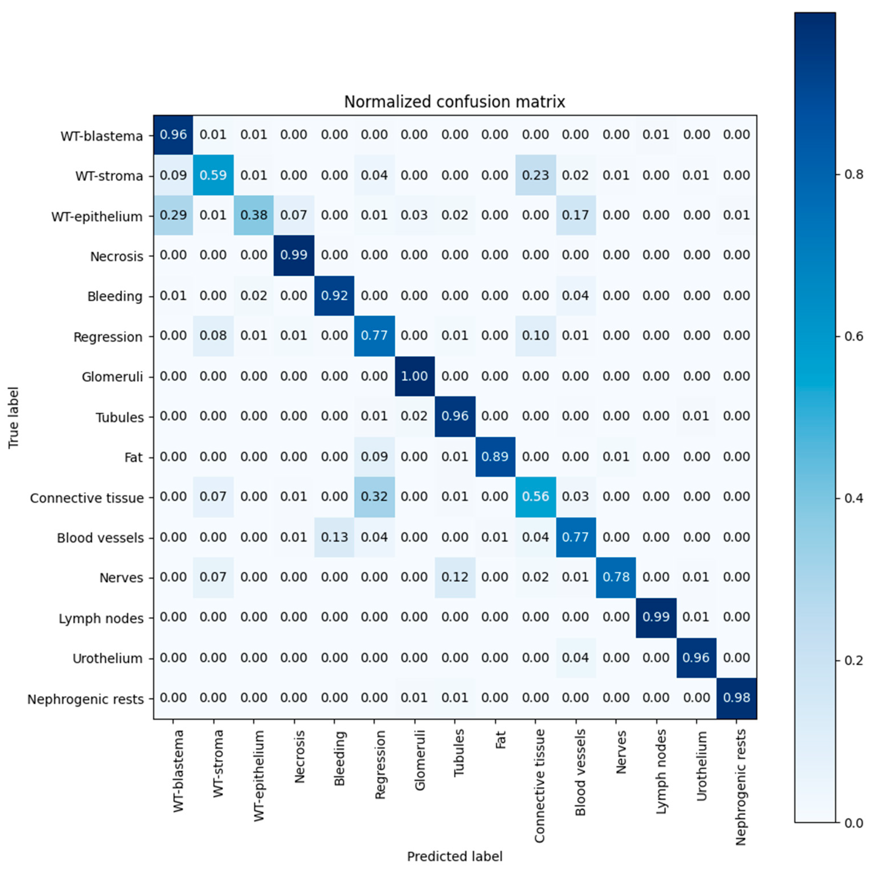 Cancers 15 02656 g003 Cancers 15 02656 g003