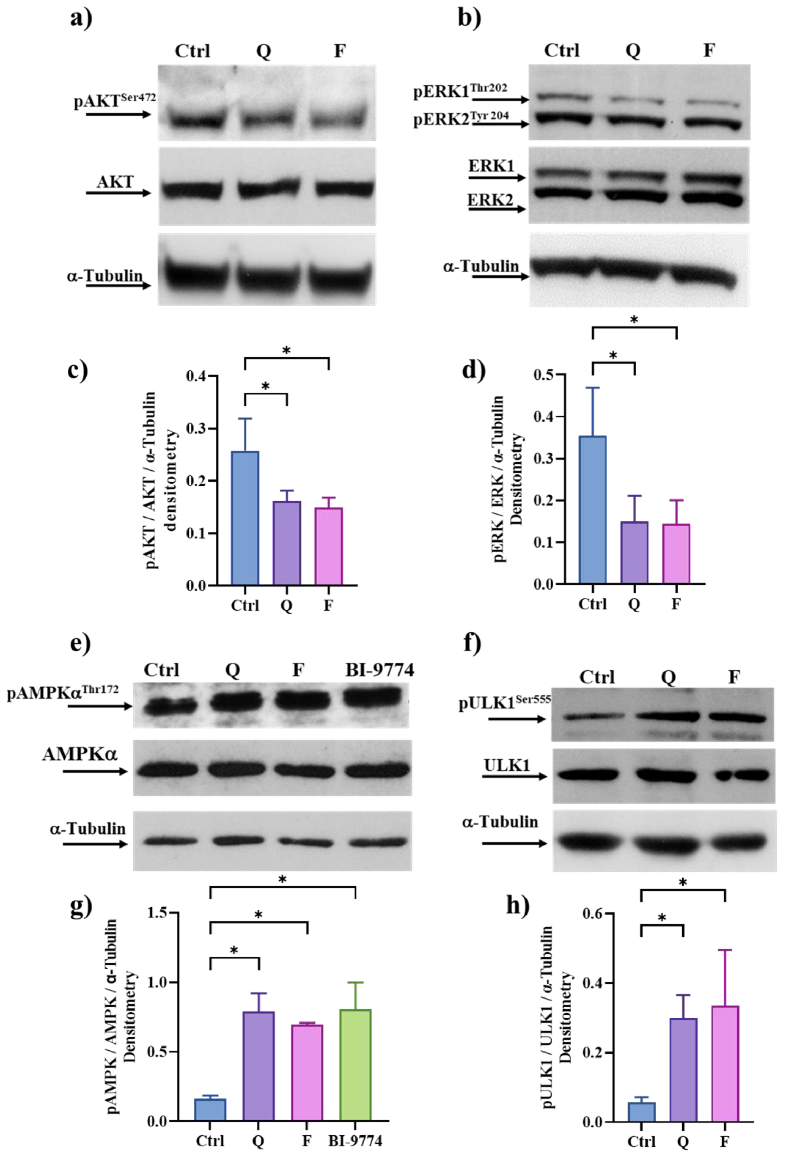 Cancers 15 02660 g005 Cancers 15 02660 g005