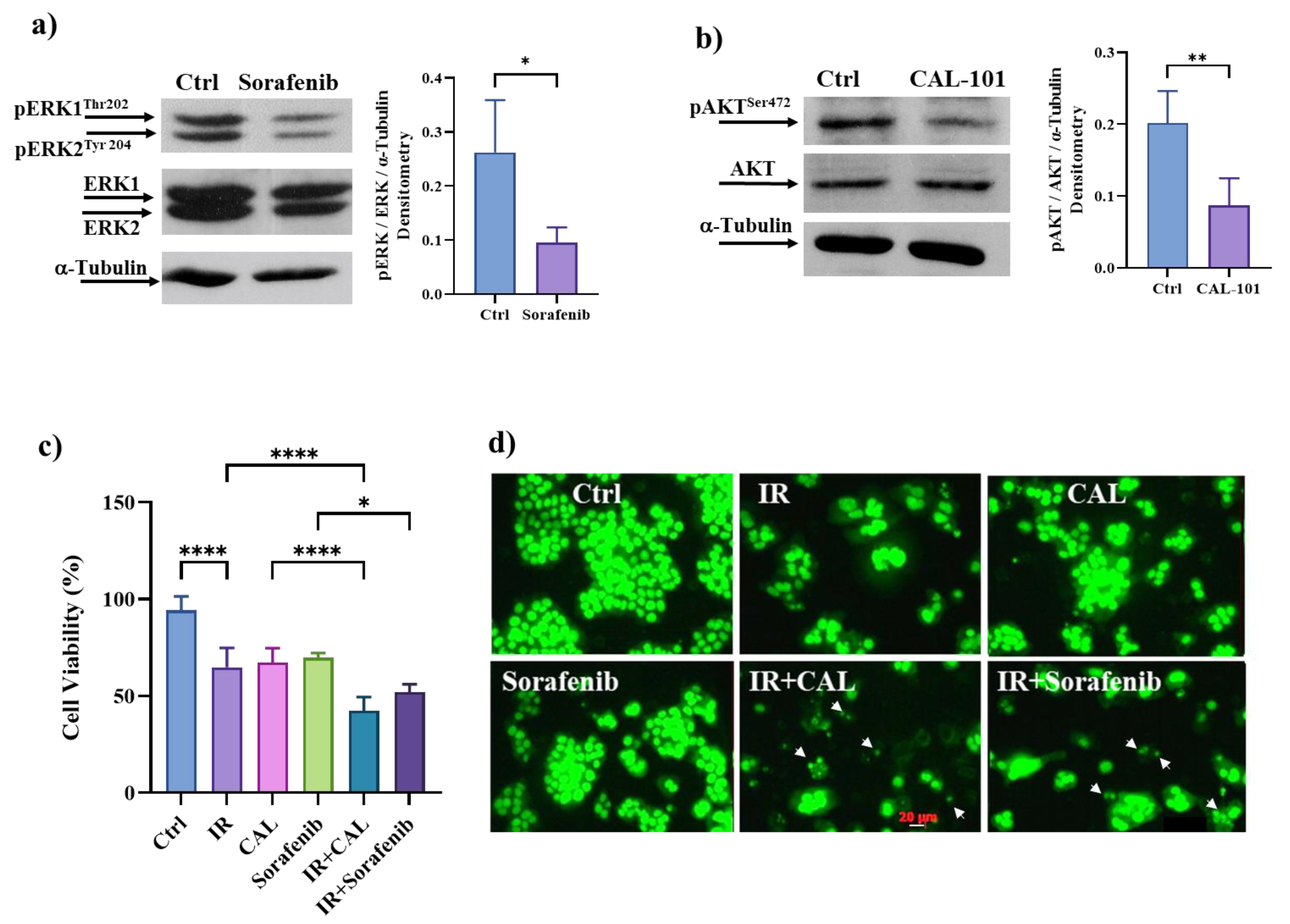 Cancers 15 02660 g008 Cancers 15 02660 g008