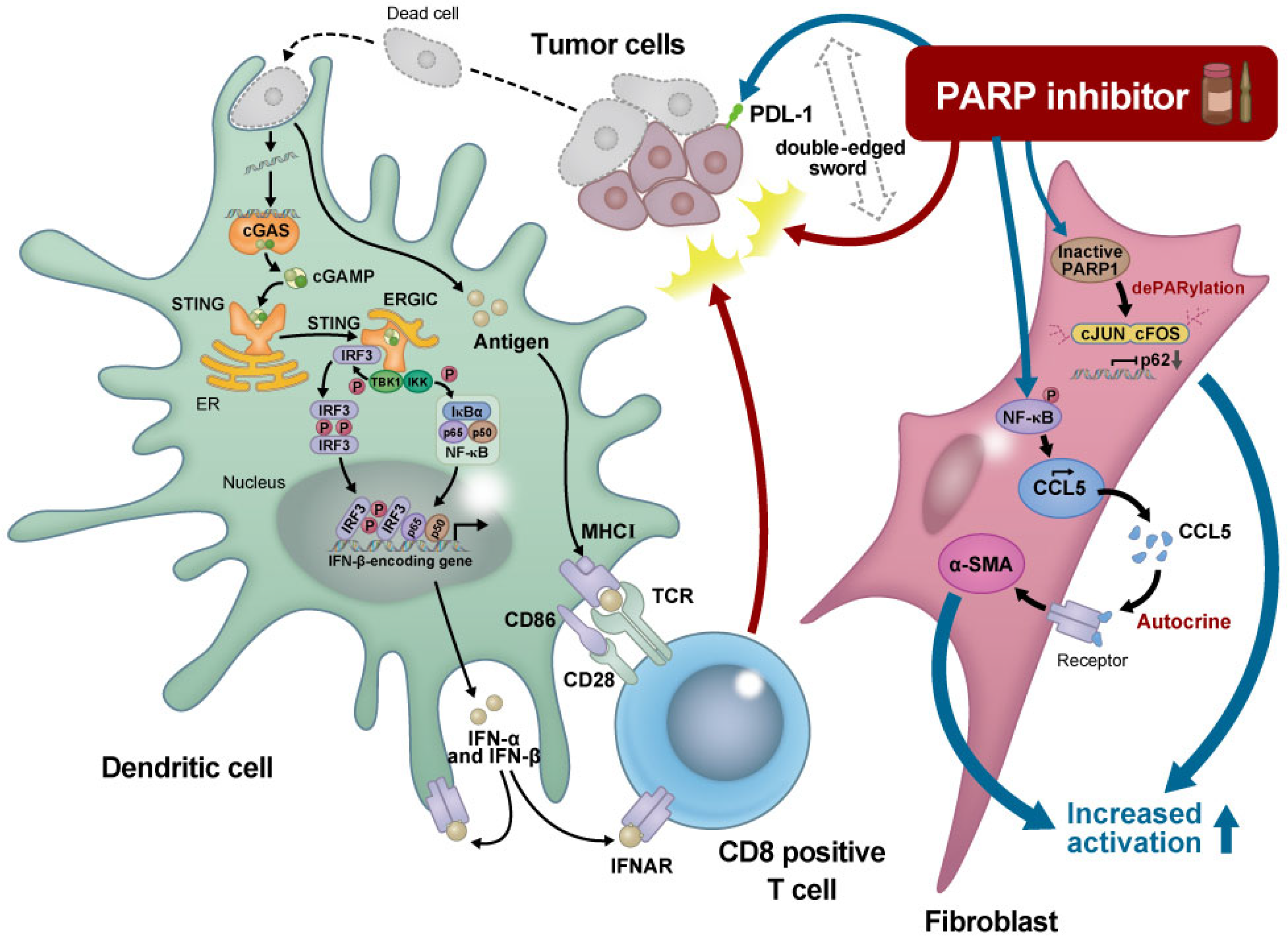 Cancers 15 02662 g001 Cancers 15 02662 g001
