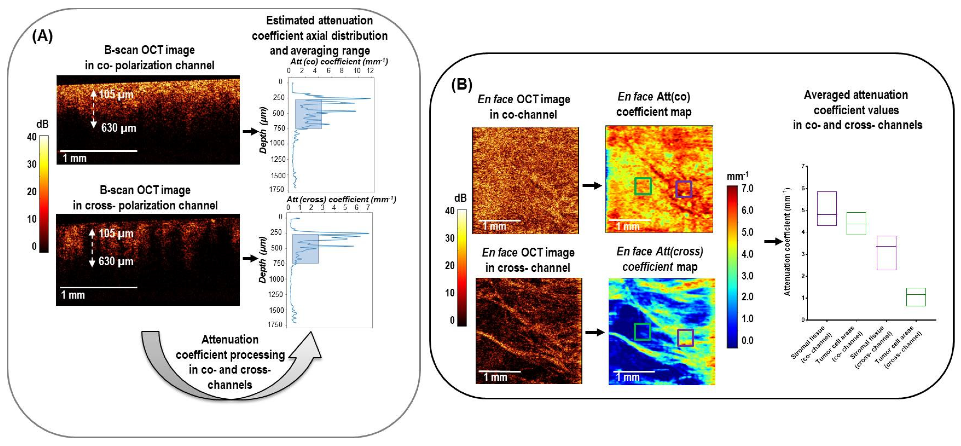 Cancers 15 02663 g002 Cancers 15 02663 g002