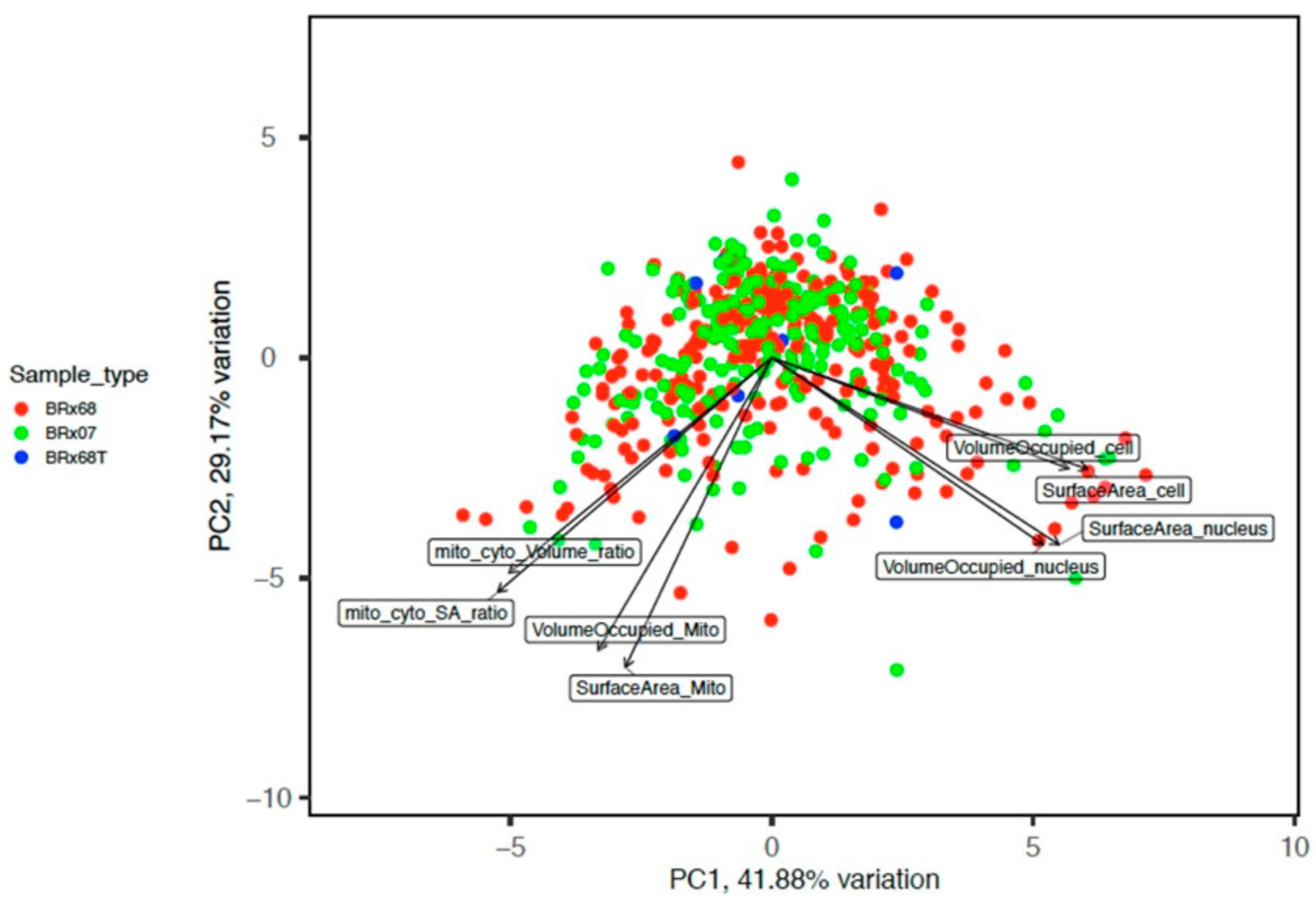 Cancers 15 02669 g002 Cancers 15 02669 g002