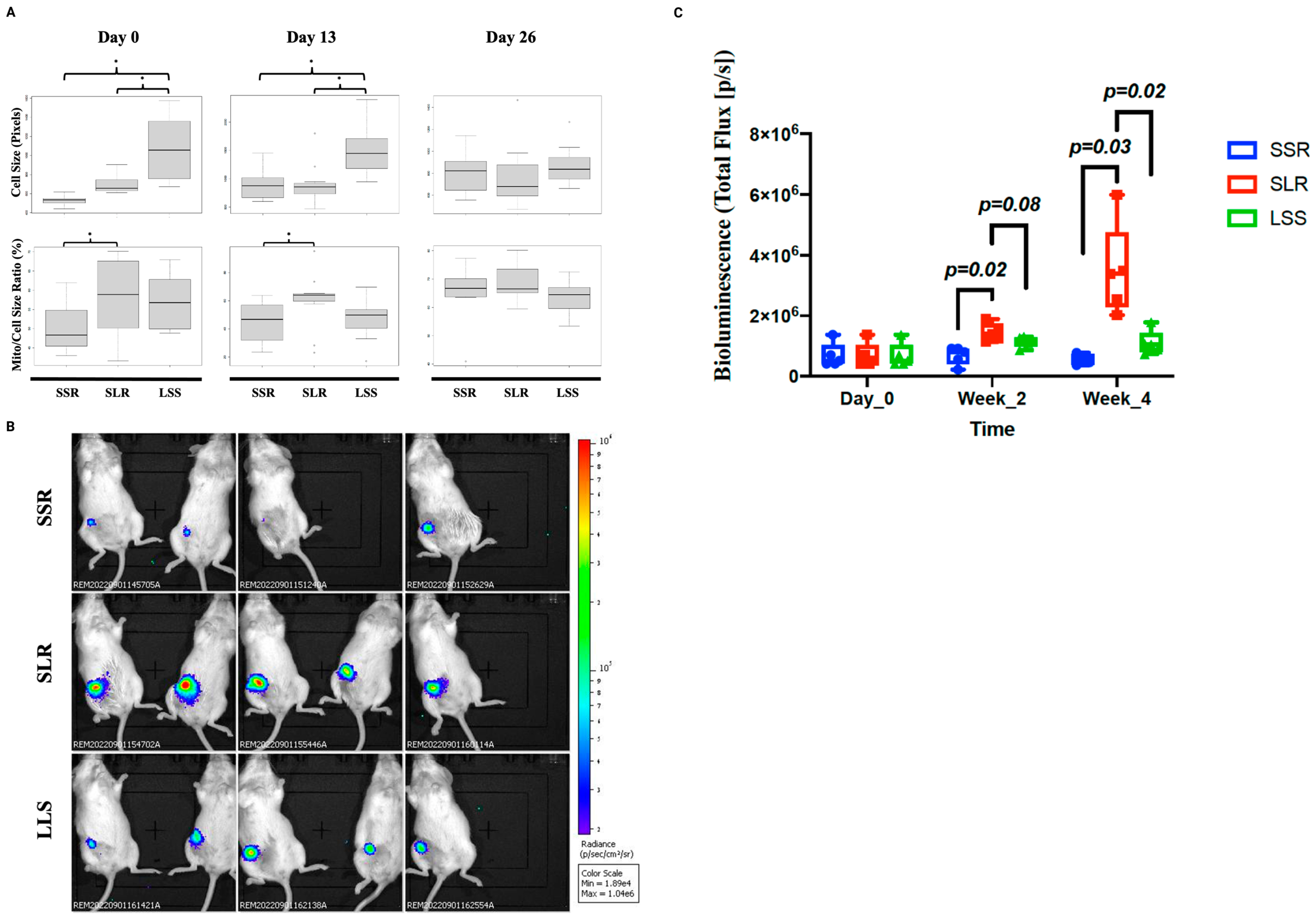 Cancers 15 02669 g004 Cancers 15 02669 g004