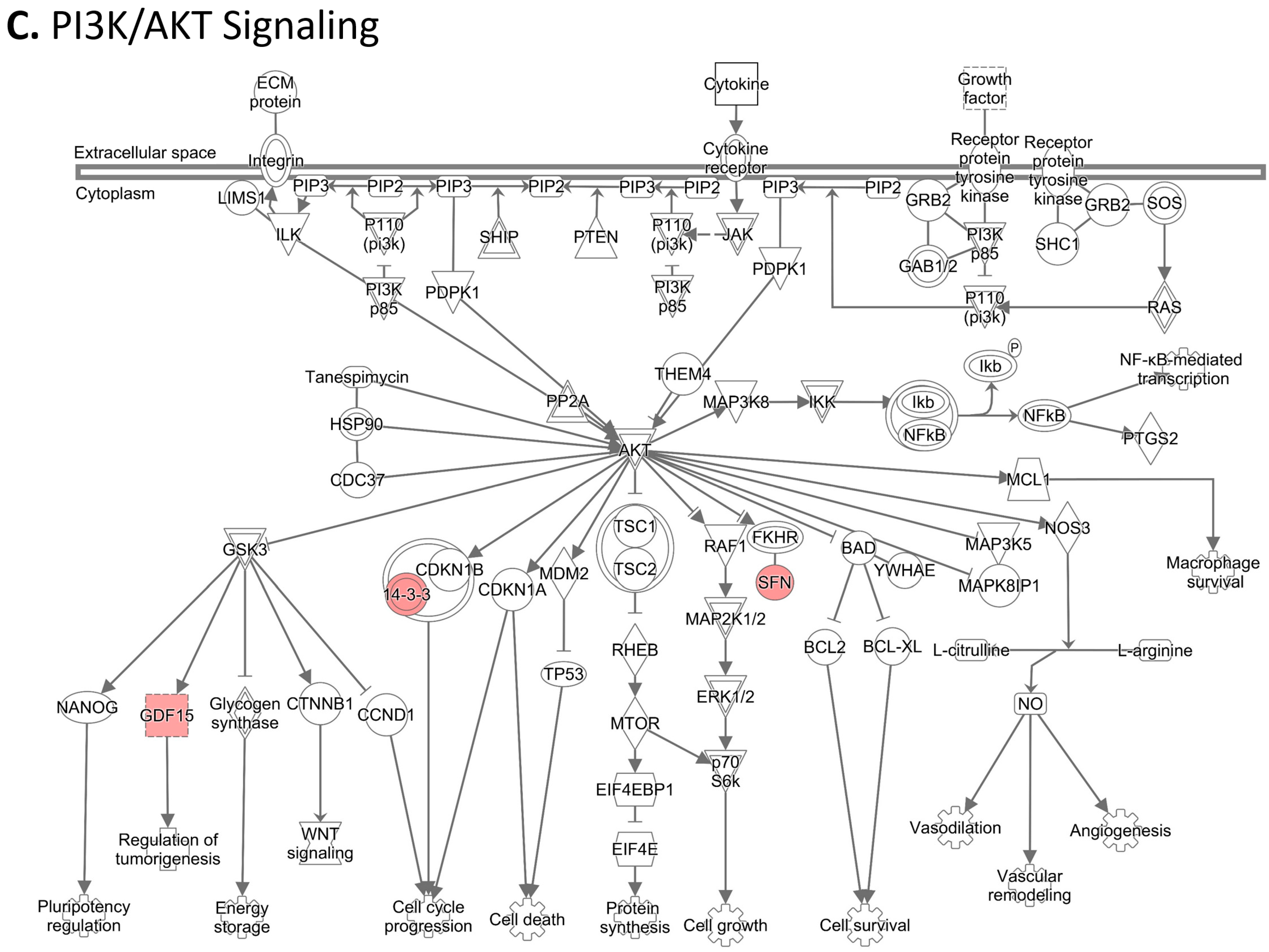 Cancers 15 02672 g006c Cancers 15 02672 g006c