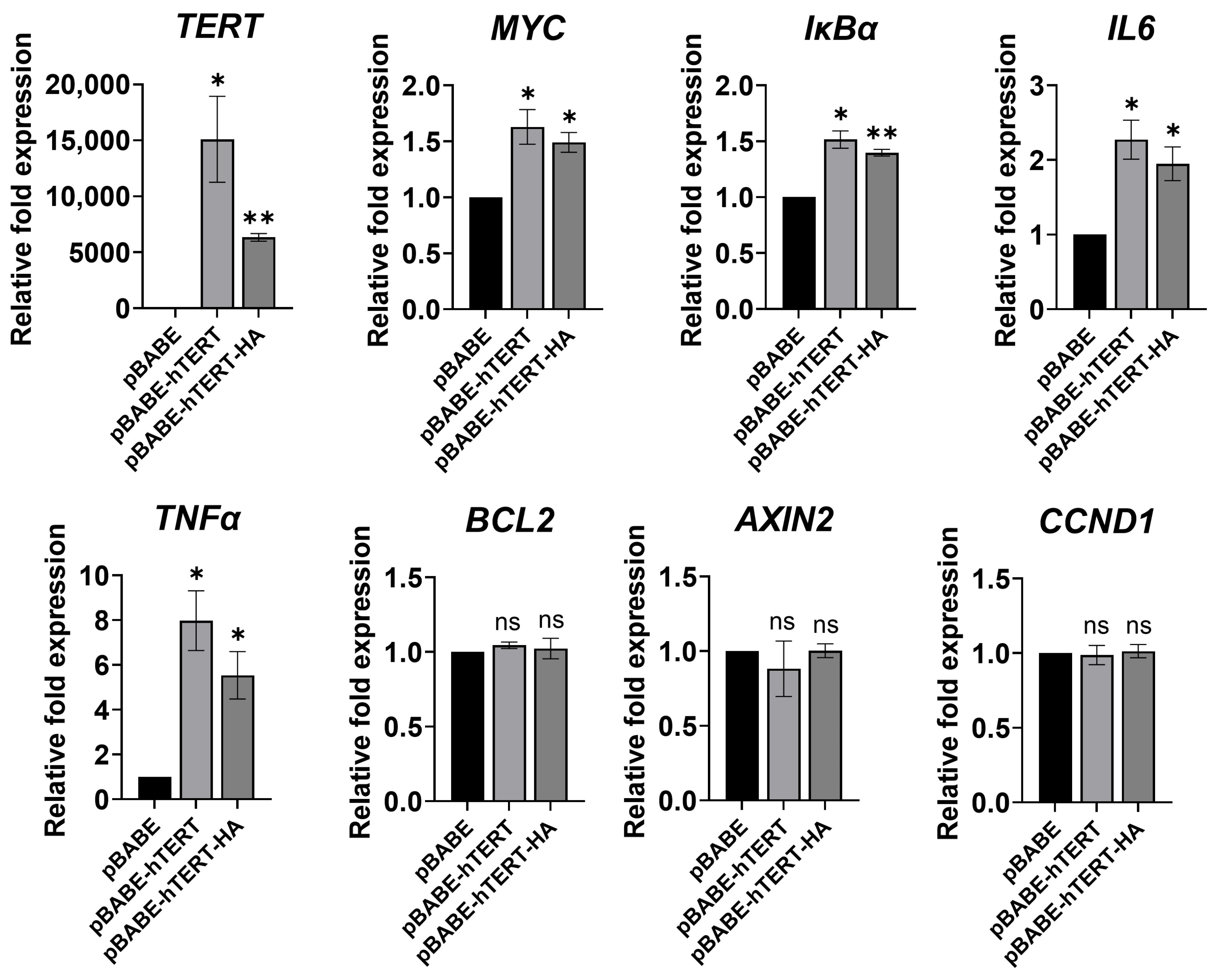 Cancers 15 02673 g003 Cancers 15 02673 g003