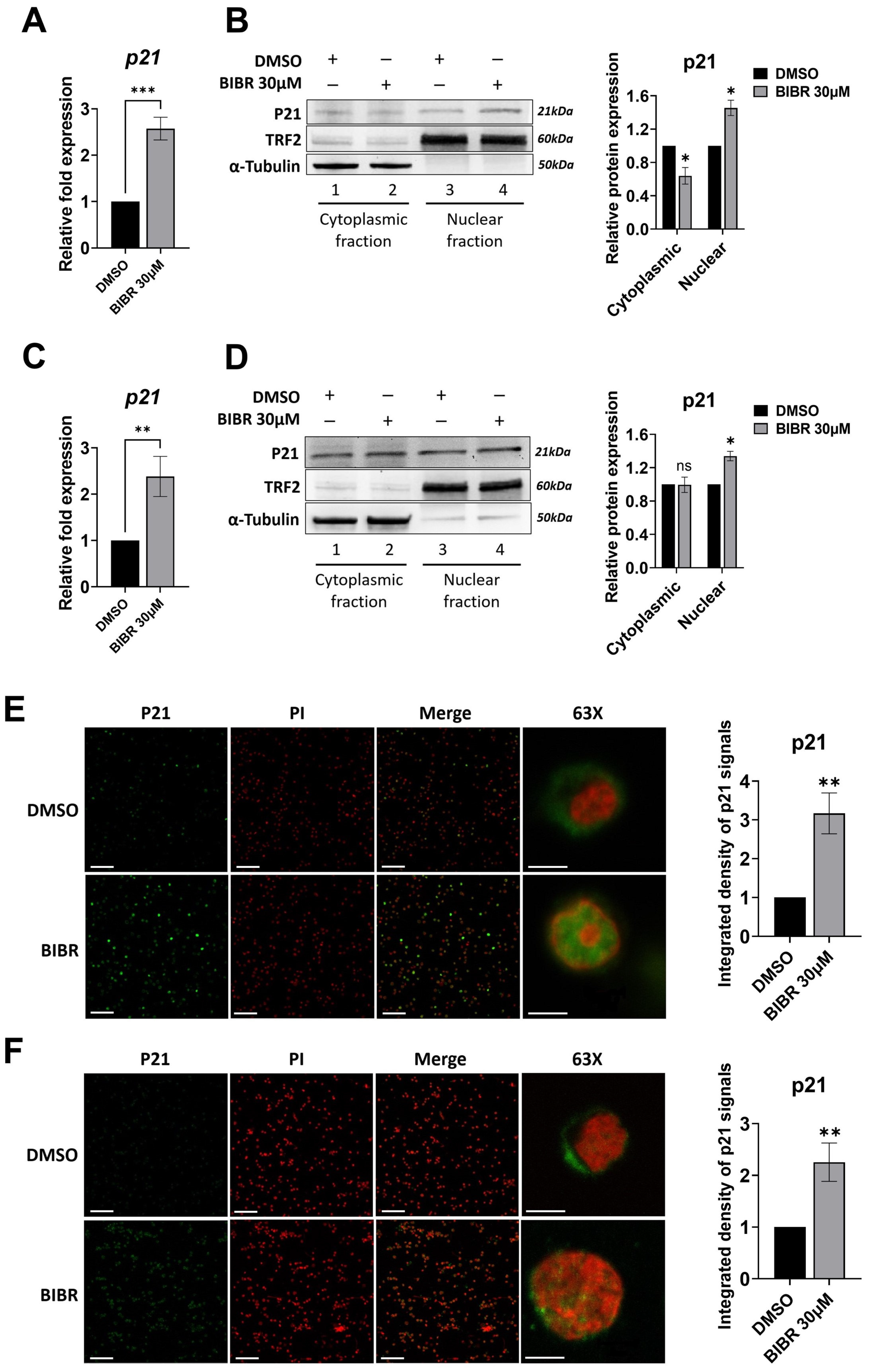 Cancers 15 02673 g005 Cancers 15 02673 g005