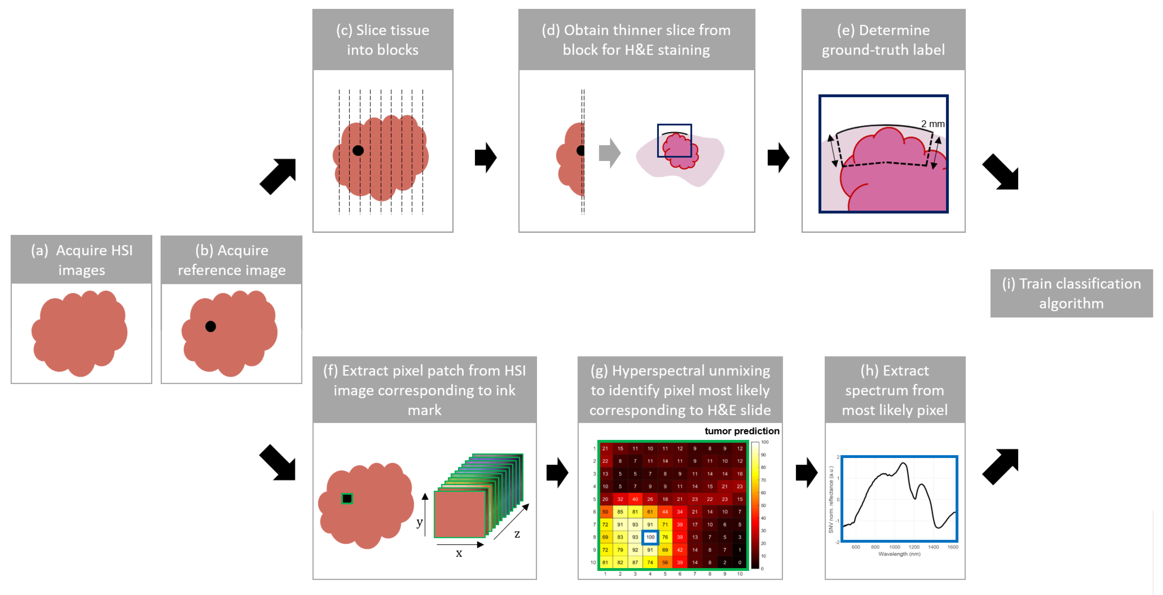 Cancers 15 02679 g002 Cancers 15 02679 g002