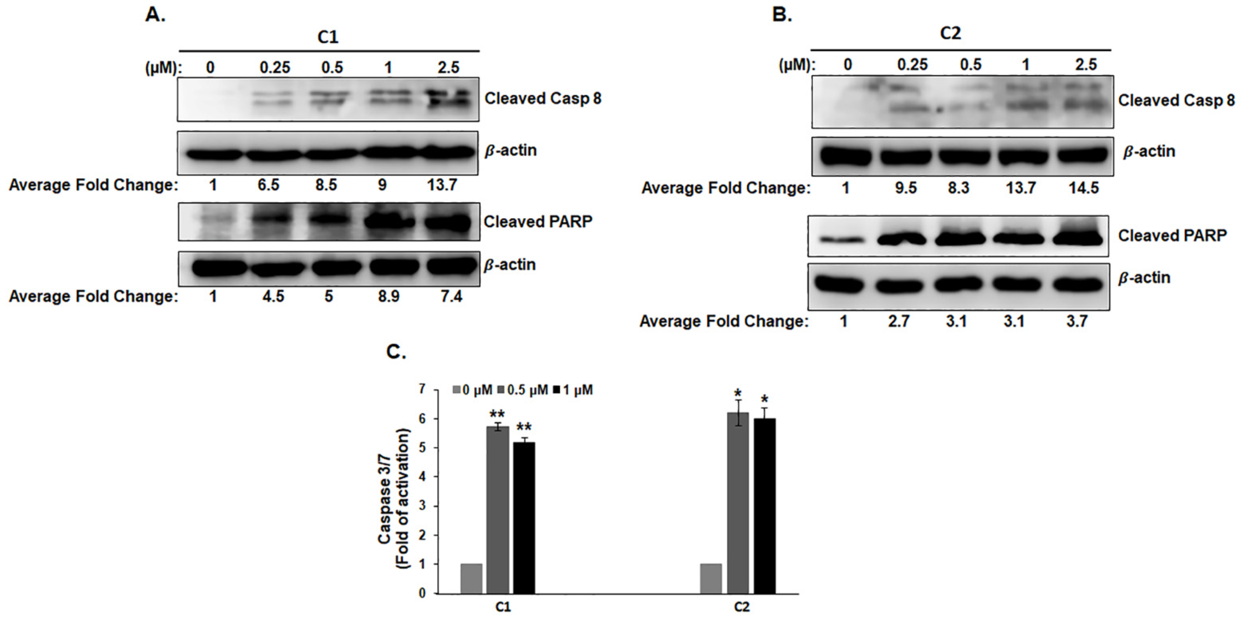 Cancers 15 02682 g004