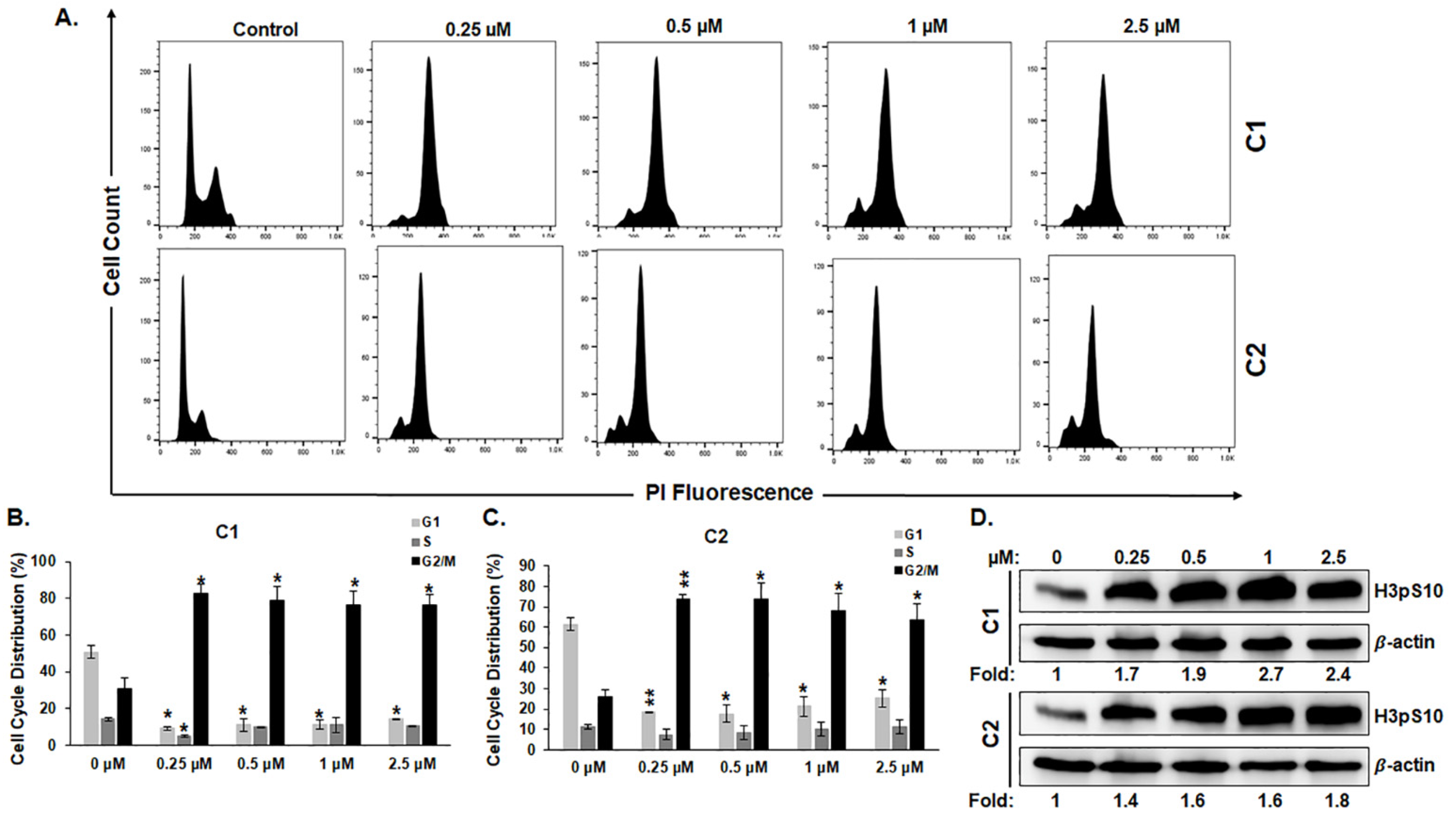 Cancers 15 02682 g006