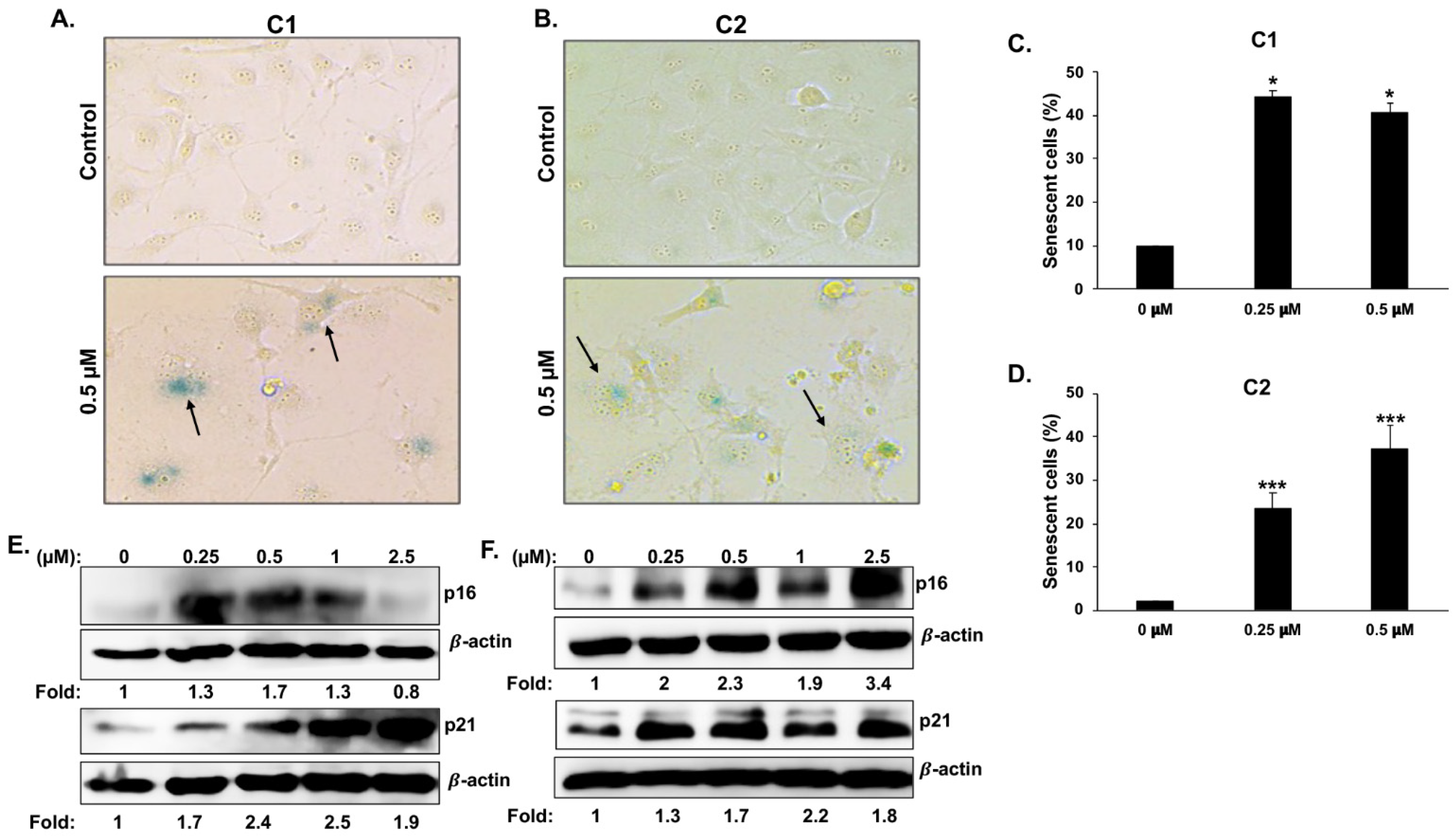 Cancers 15 02682 g007