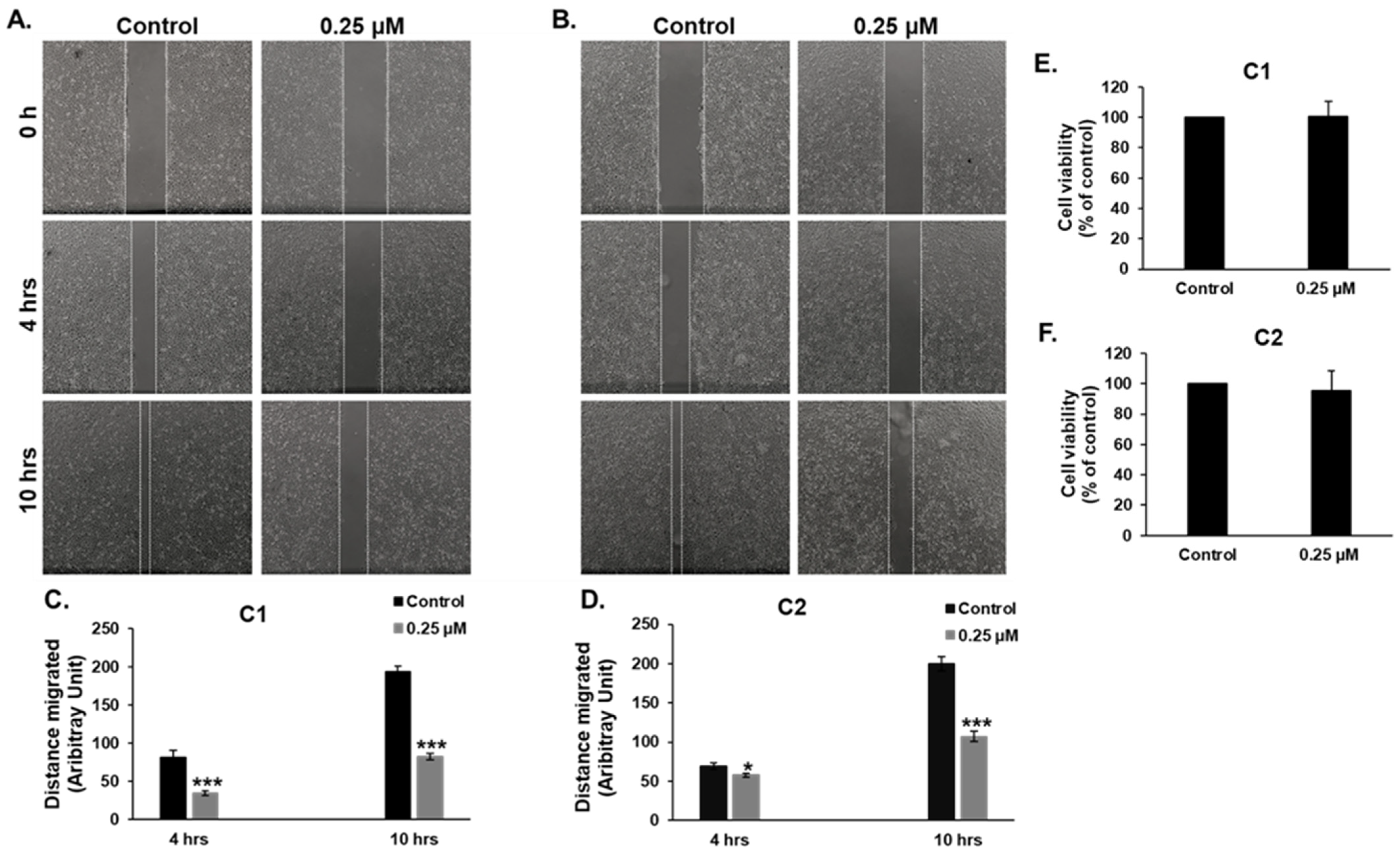 Cancers 15 02682 g010