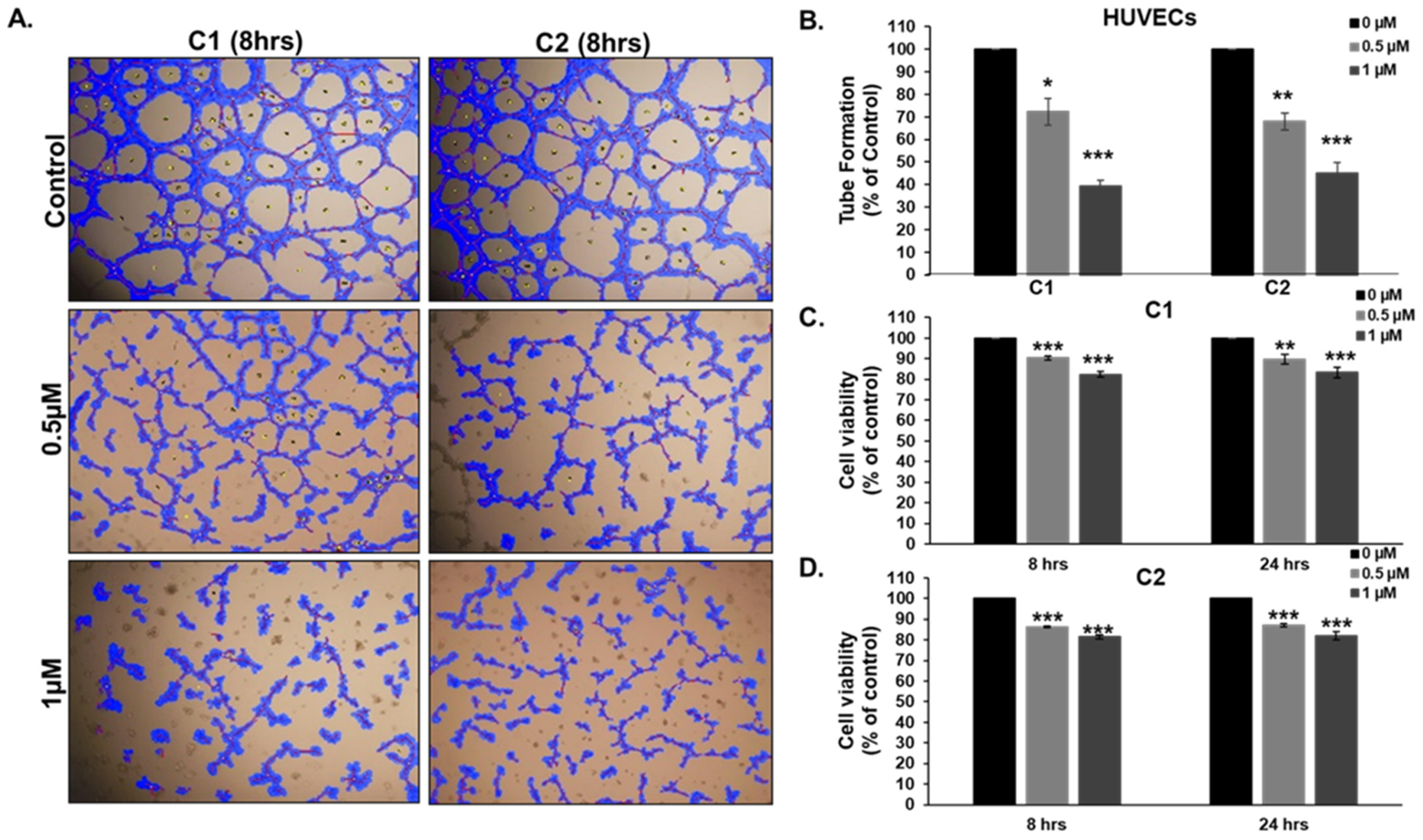 Cancers 15 02682 g011