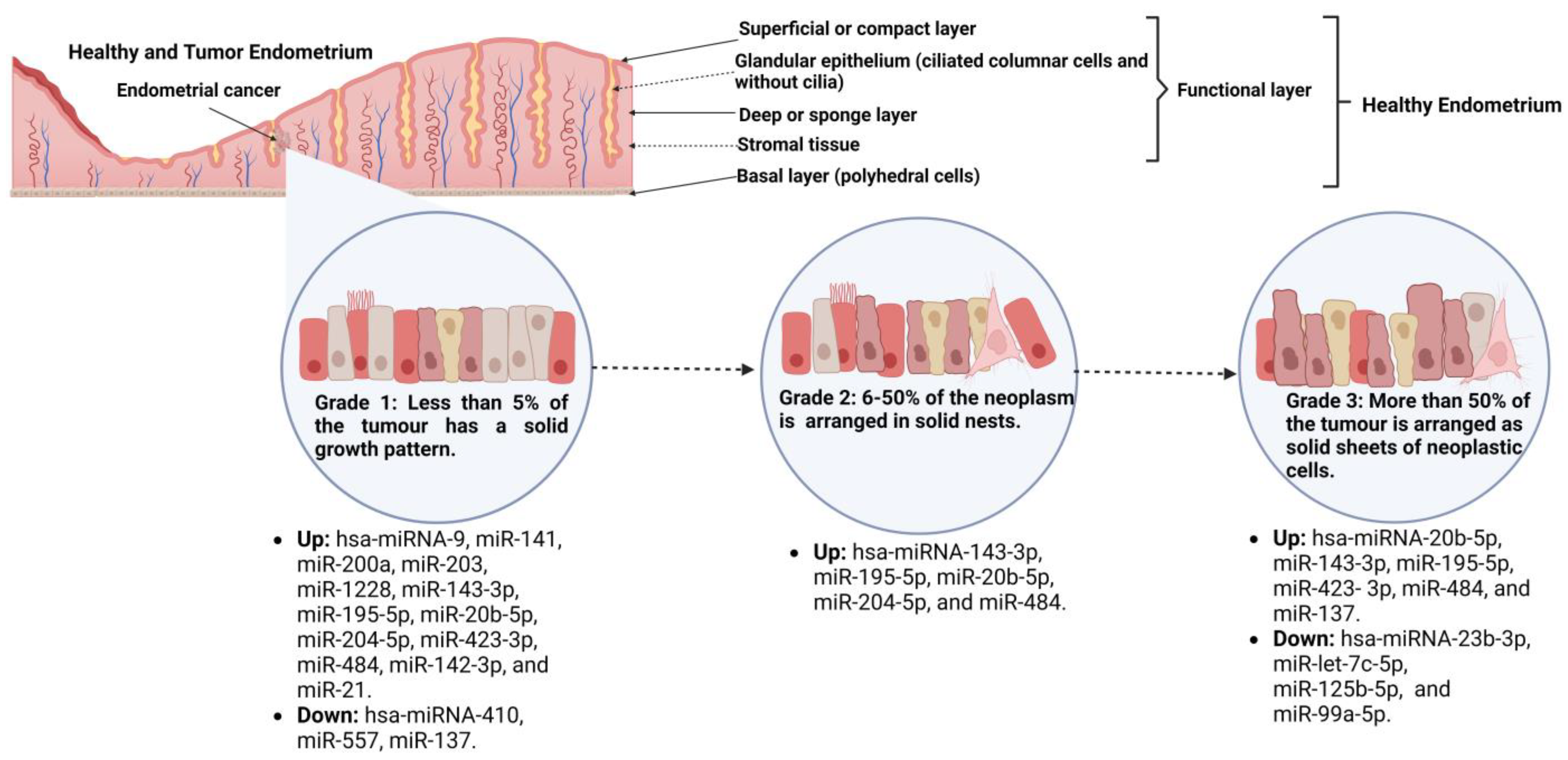 Cancers 15 02686 g002 Cancers 15 02686 g002