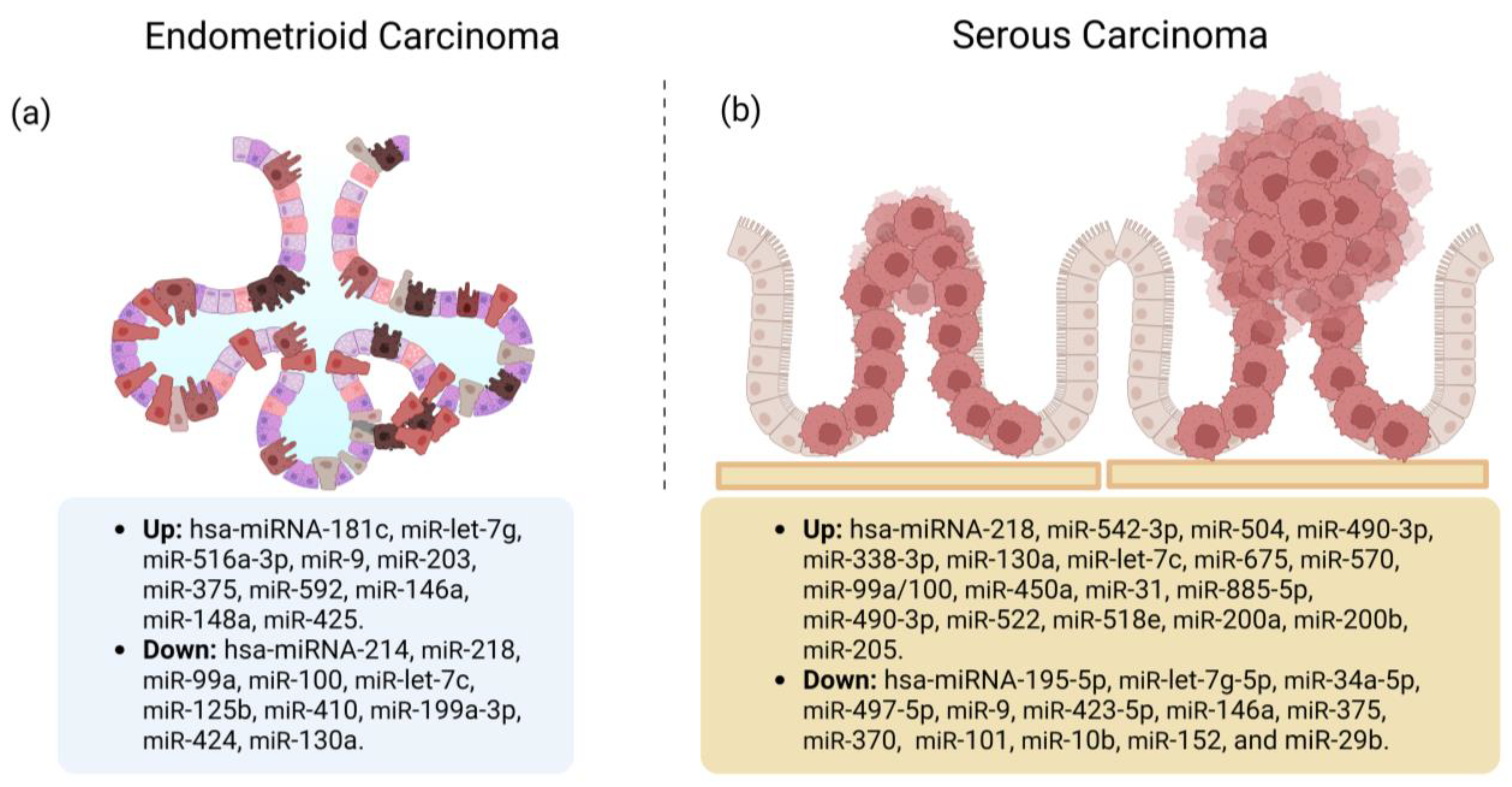 Cancers 15 02686 g003 Cancers 15 02686 g003