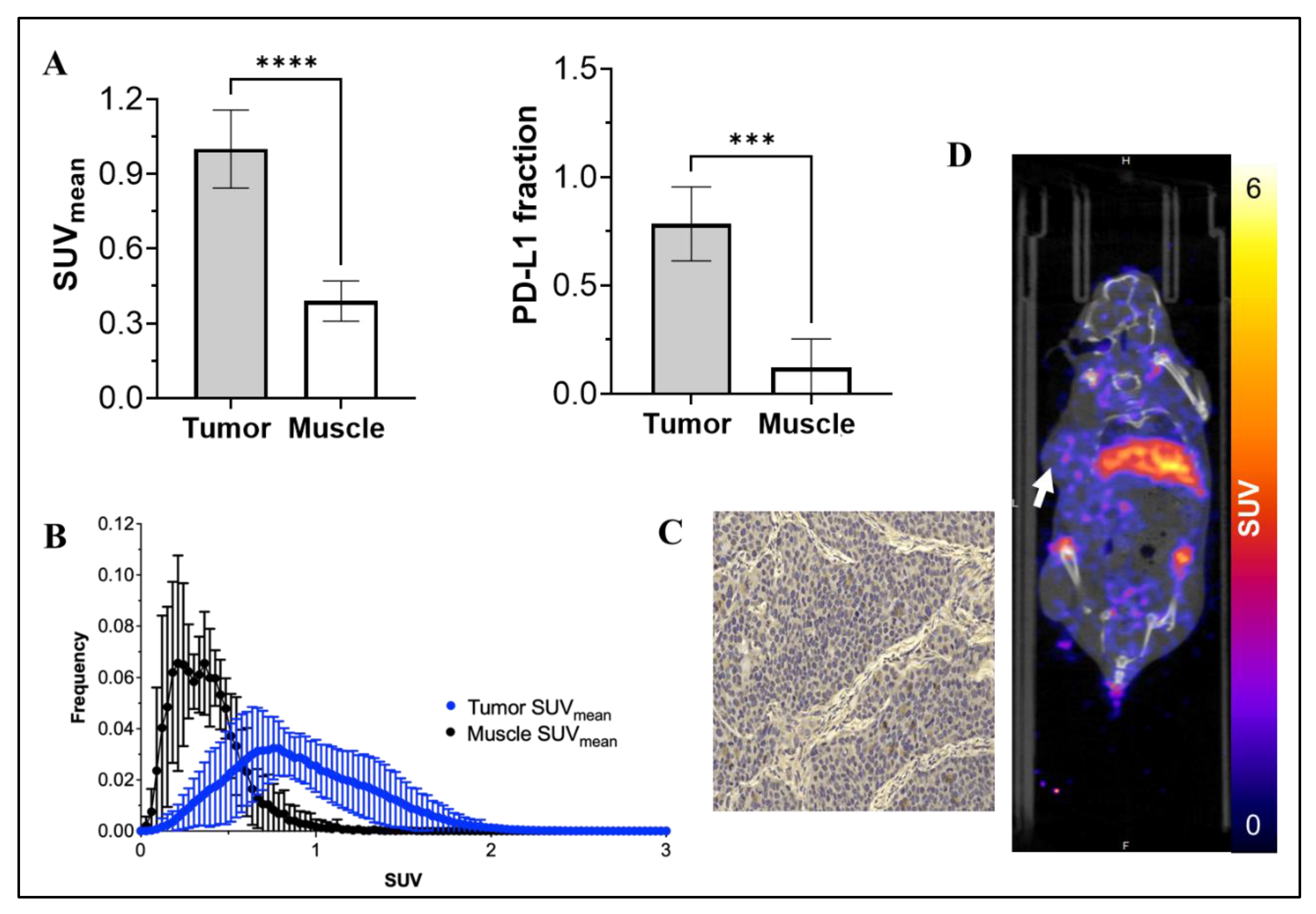 Cancers 15 02708 g003 Cancers 15 02708 g003