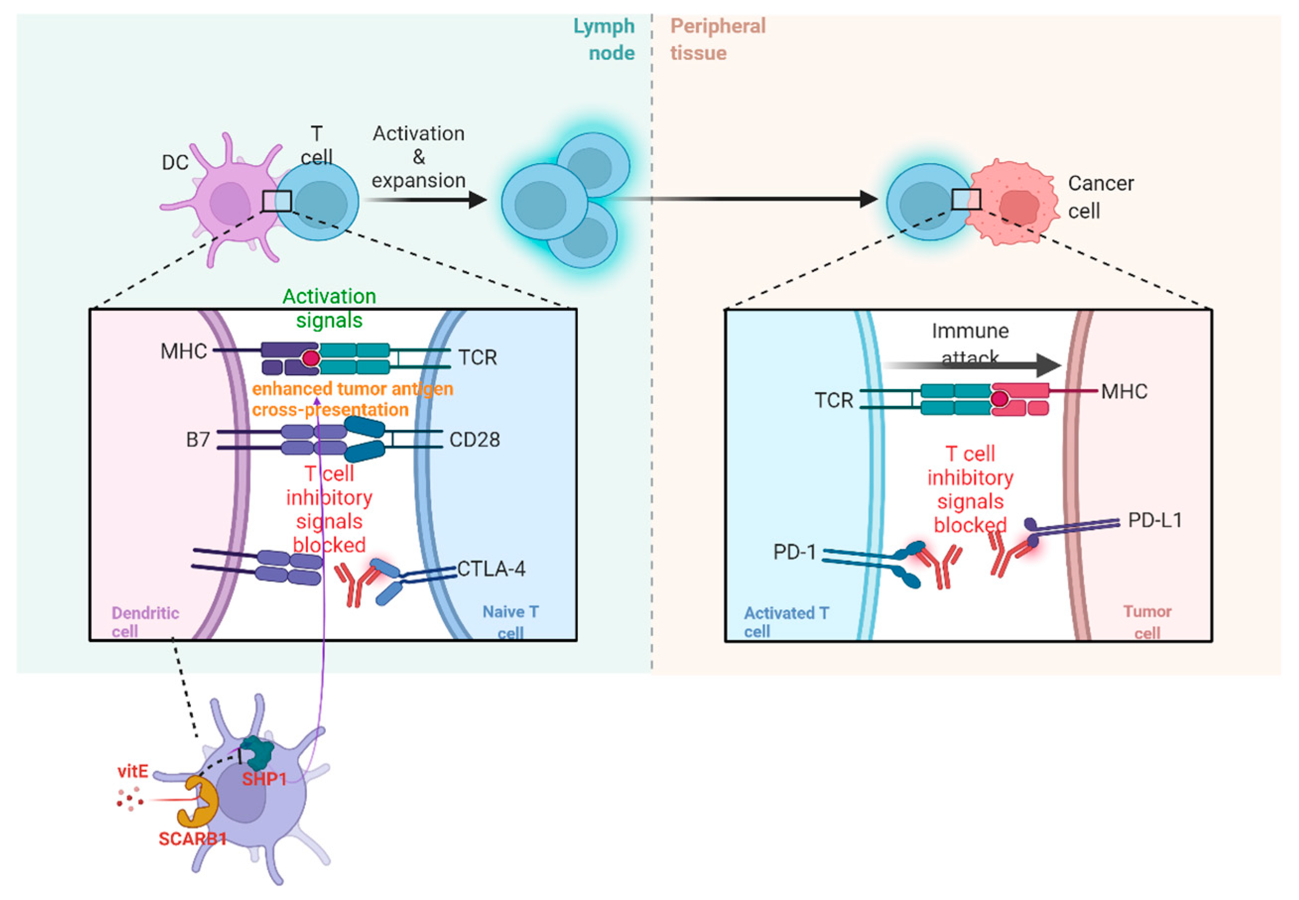 Cancers 15 02709 g002 Cancers 15 02709 g002