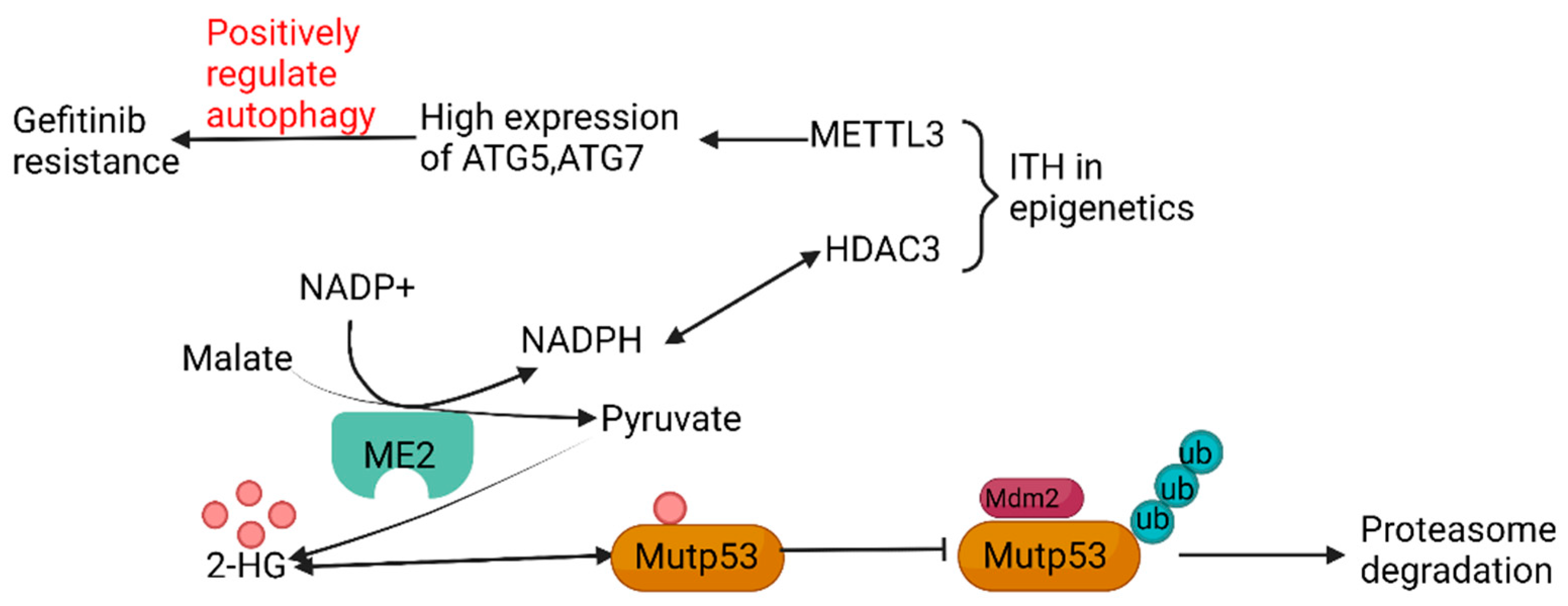 Cancers 15 02709 g004 Cancers 15 02709 g004